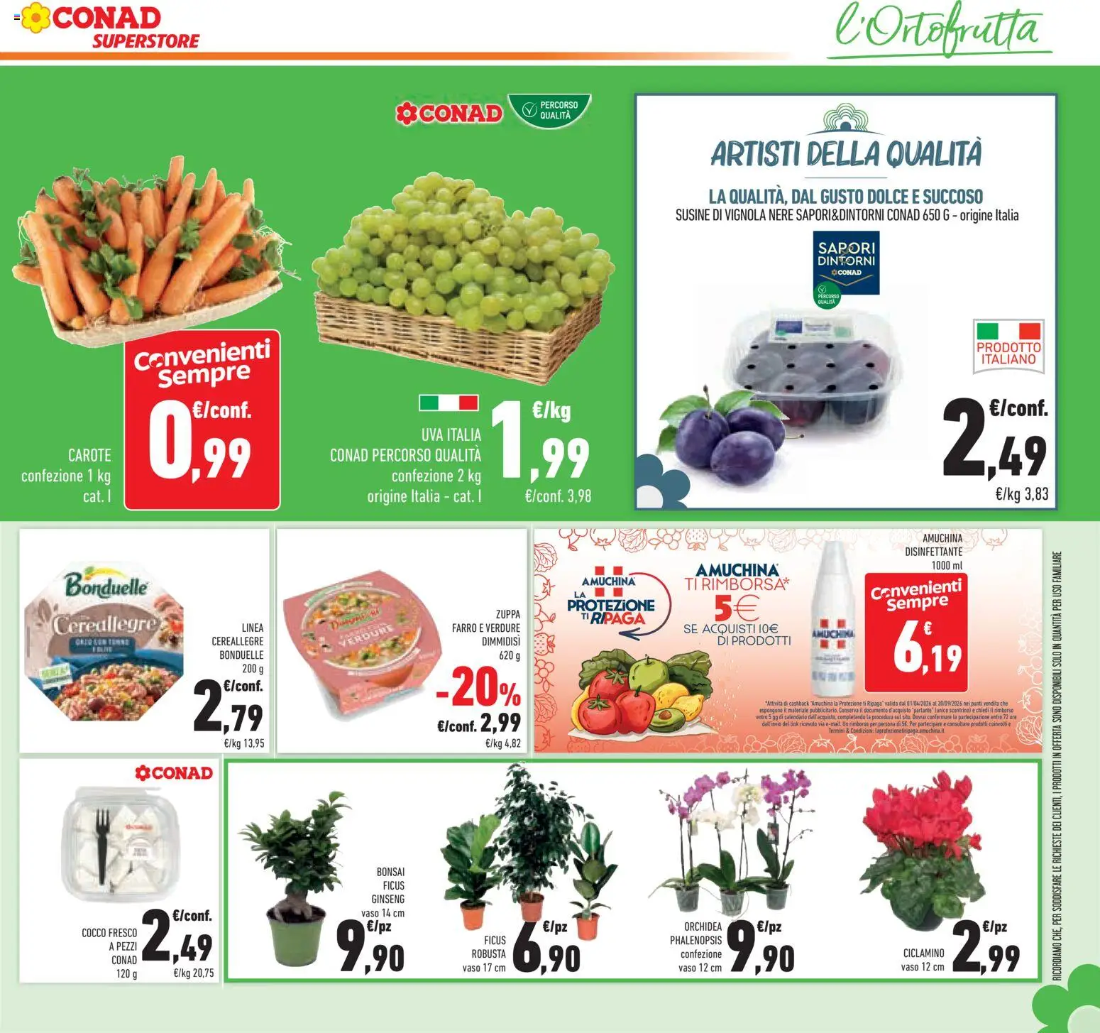 Volantino Conad del 09/09/2026 | Pagina: 27 | Prodotti: Verdure, Carote, Susine, Vaso