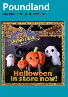 Preview of Poundland - Offers valid from 09/10/2026