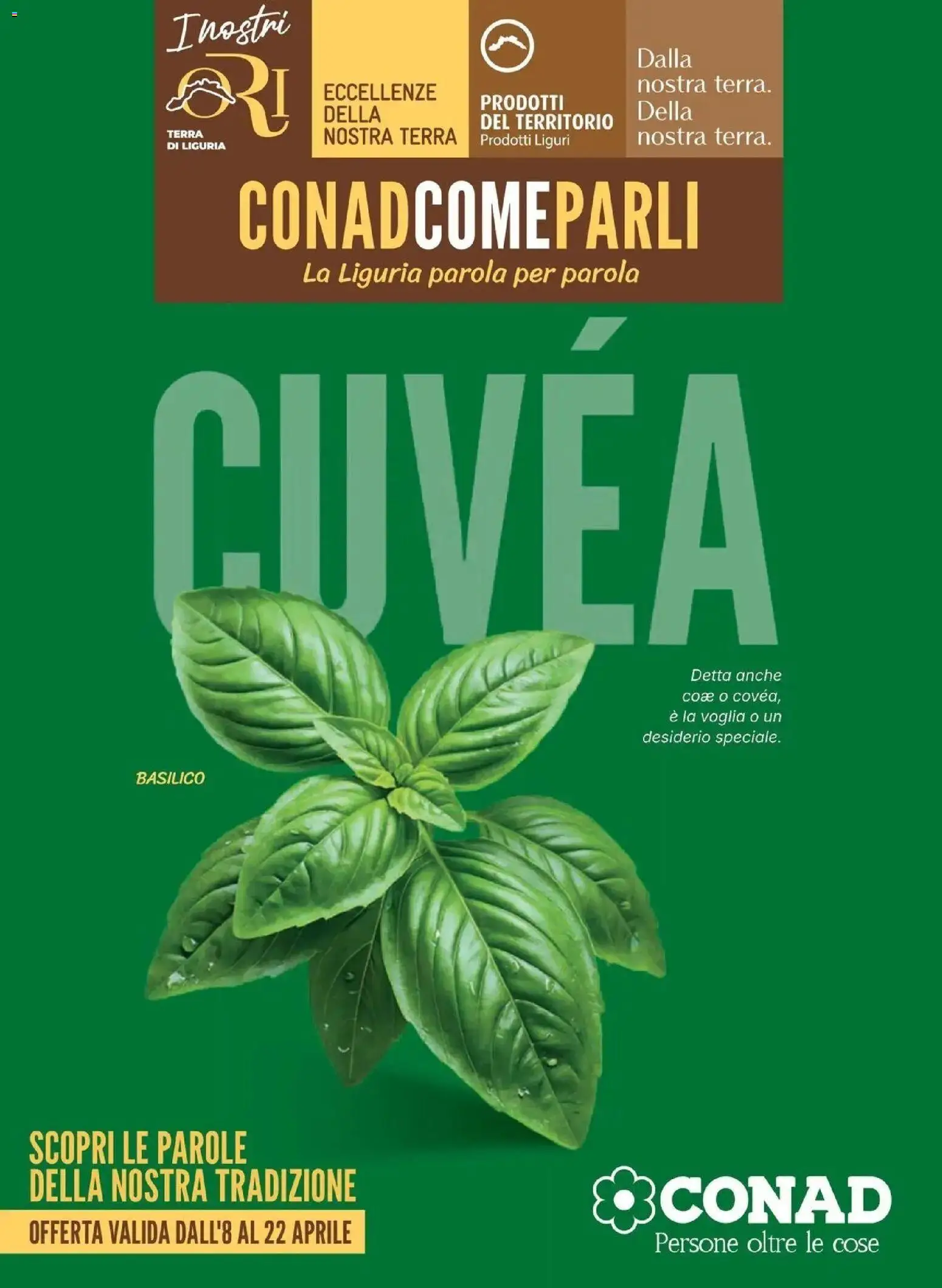 Volantino Conad del 08.04.2026 | Pagina: 1 | Prodotti: Basilico, Terra