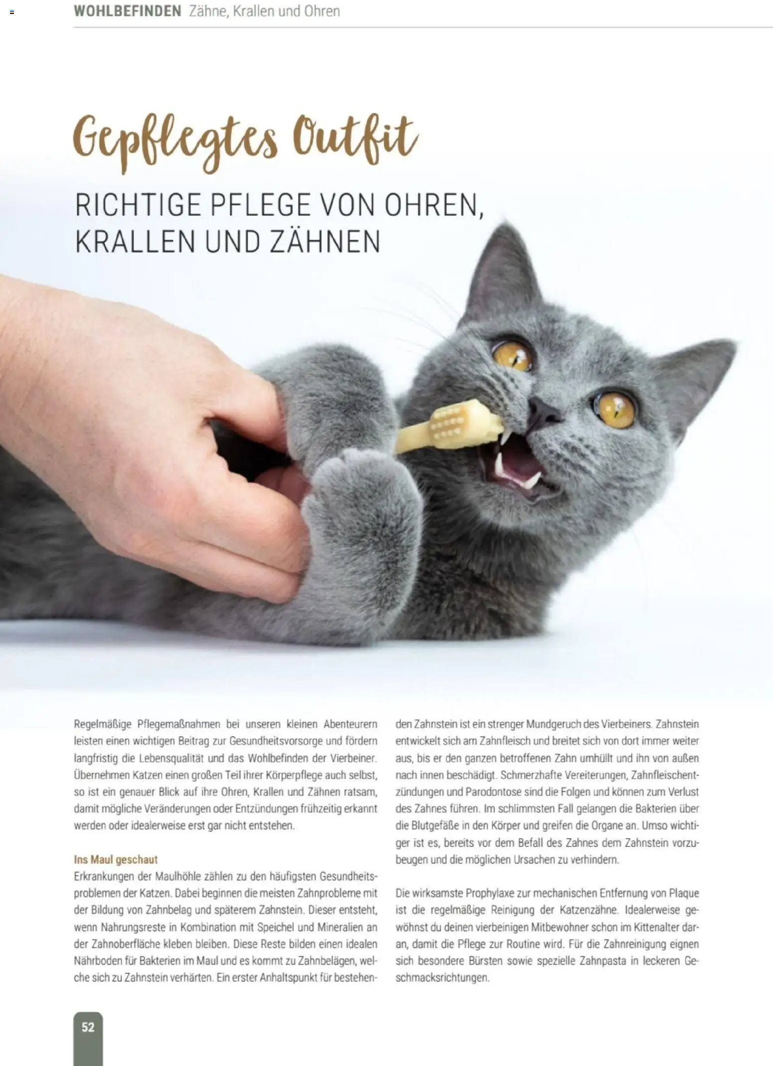 zookauf Themenkatalog Katze – gültig ab 01.10.2026 | Seite: 52 | Produkte: Zahnpasta