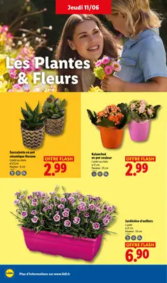 LIDL - Prévisualisation de LIDL catalogue valide à partir de 11.06.2026 | Page: 28