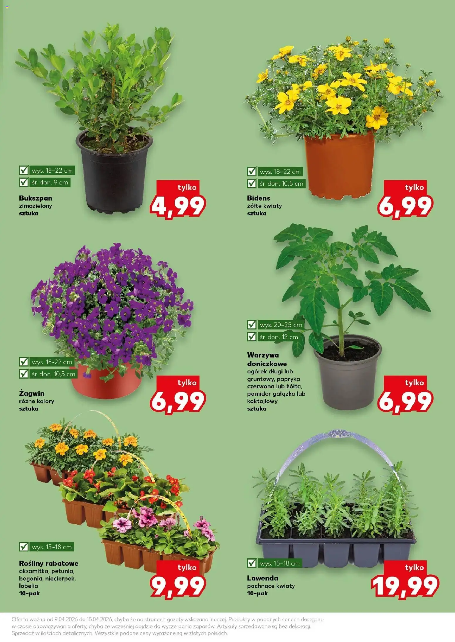 Kaufland gazetka - Ogród od 09.04.2026 | Strona: 11 | Produkty: Papryka, Rosliny, Kwiaty, Warzywa