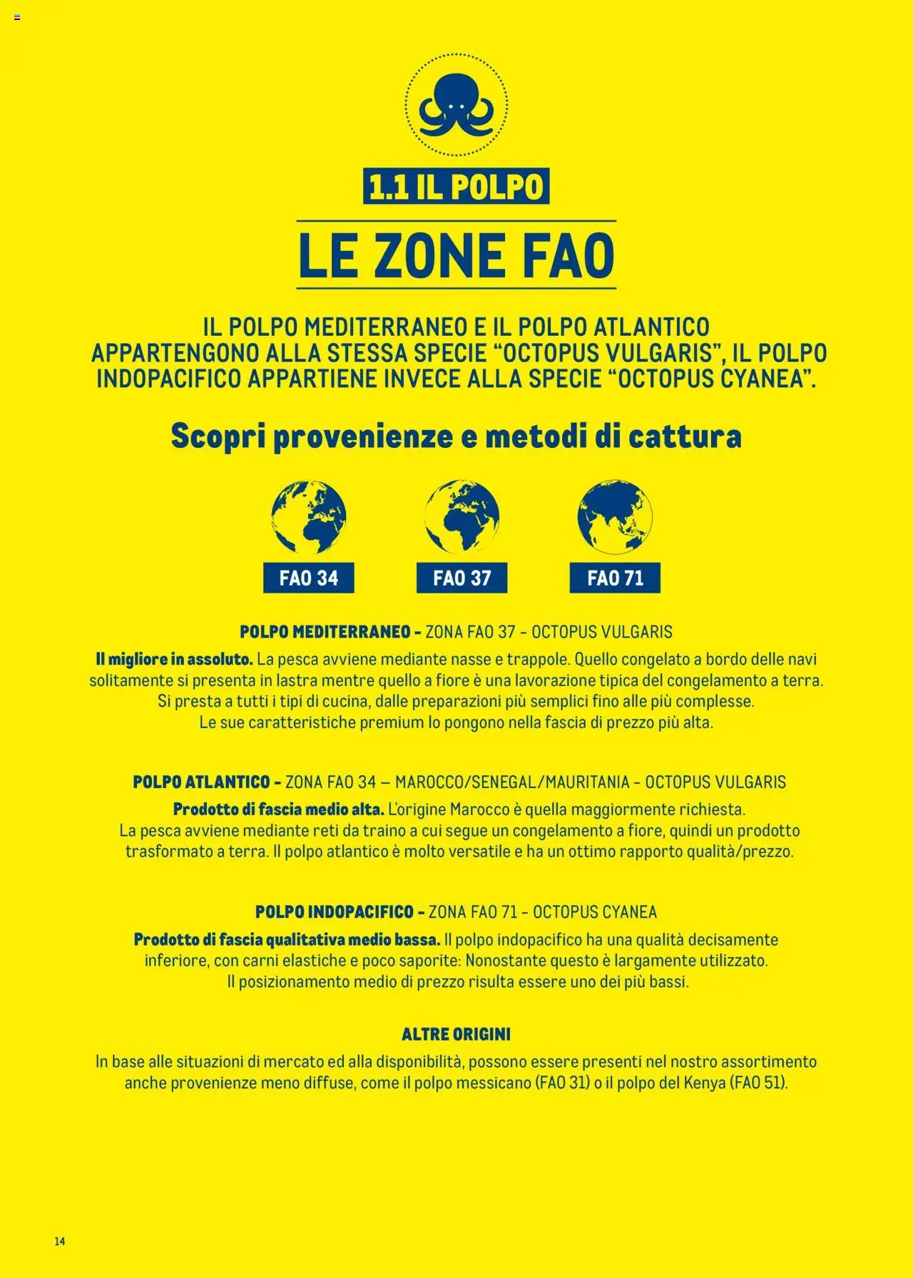 Volantino Metro del 30.06.2025 | Pagina: 14 | Prodotti: Polpo, Pesca
