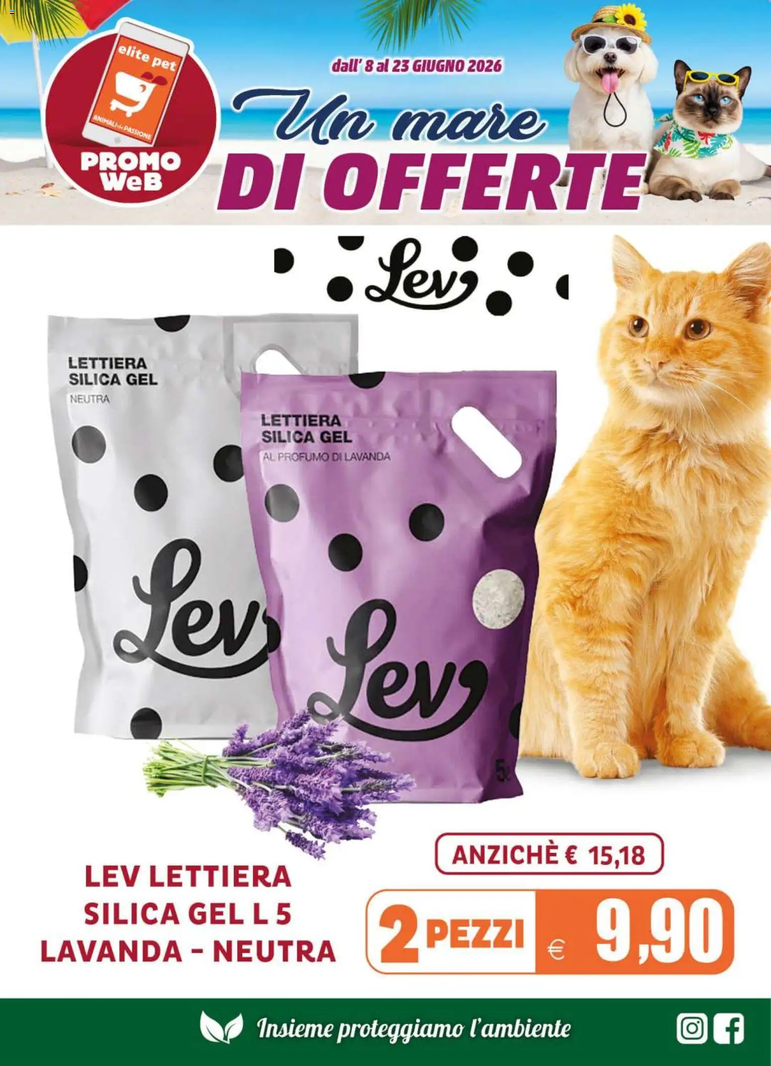 Volantino Elite Supermercati del 08.06.2026 | Pagina: 11 | Prodotti: Lavanda, Profumo