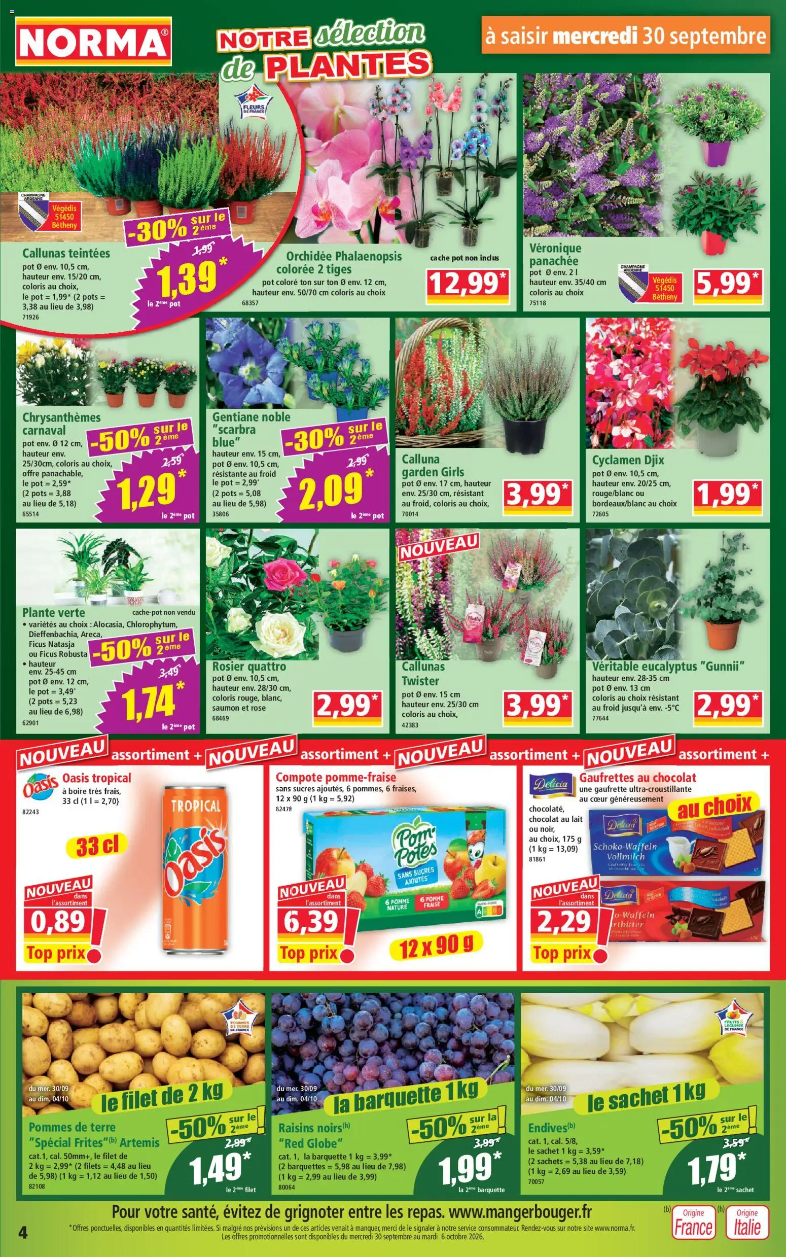 {H1} | Page: 4 | Produits: Cyclamen, Oasis tropical, Chocolat, Pommes