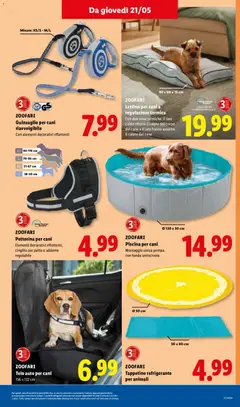 Anteprima del volantino ZOOFARI Piscina per cani, Montaggio senza pompa, con fondo antiscivolo, Ø120 x 30 cm valido a partire dal 21.05.2026 | Pagina: 35 | Prodotti: Piscina, Lettino