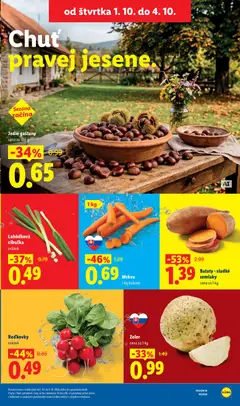Lidl leták platný od 28.09.2026 | Strana: 67