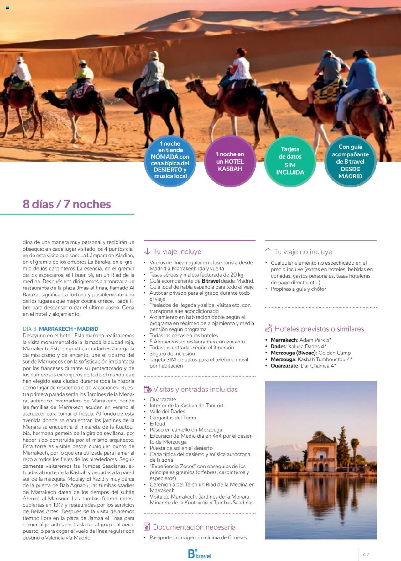 B the travel brand Viajeros Expertos Internacional 2026 │ válido desde el 03/10/2025 | Página: 47 | Productos: Té, Teléfono, Móvil, Aire acondicionado