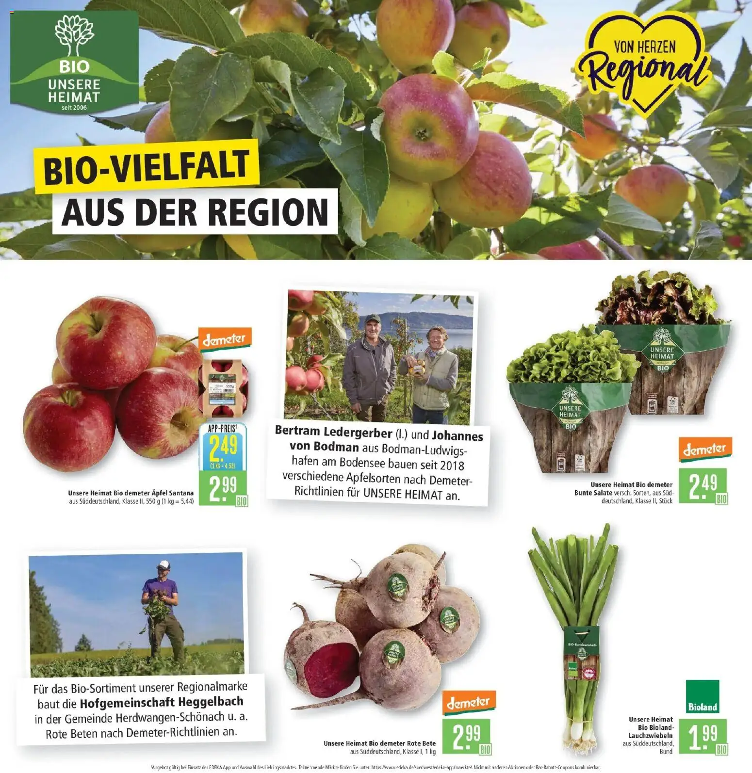 Marktkauf Prospekt Aschaffenburg (ab 14.09.2026) » Angebote online | Seite: 6 | Produkte: Äpfel