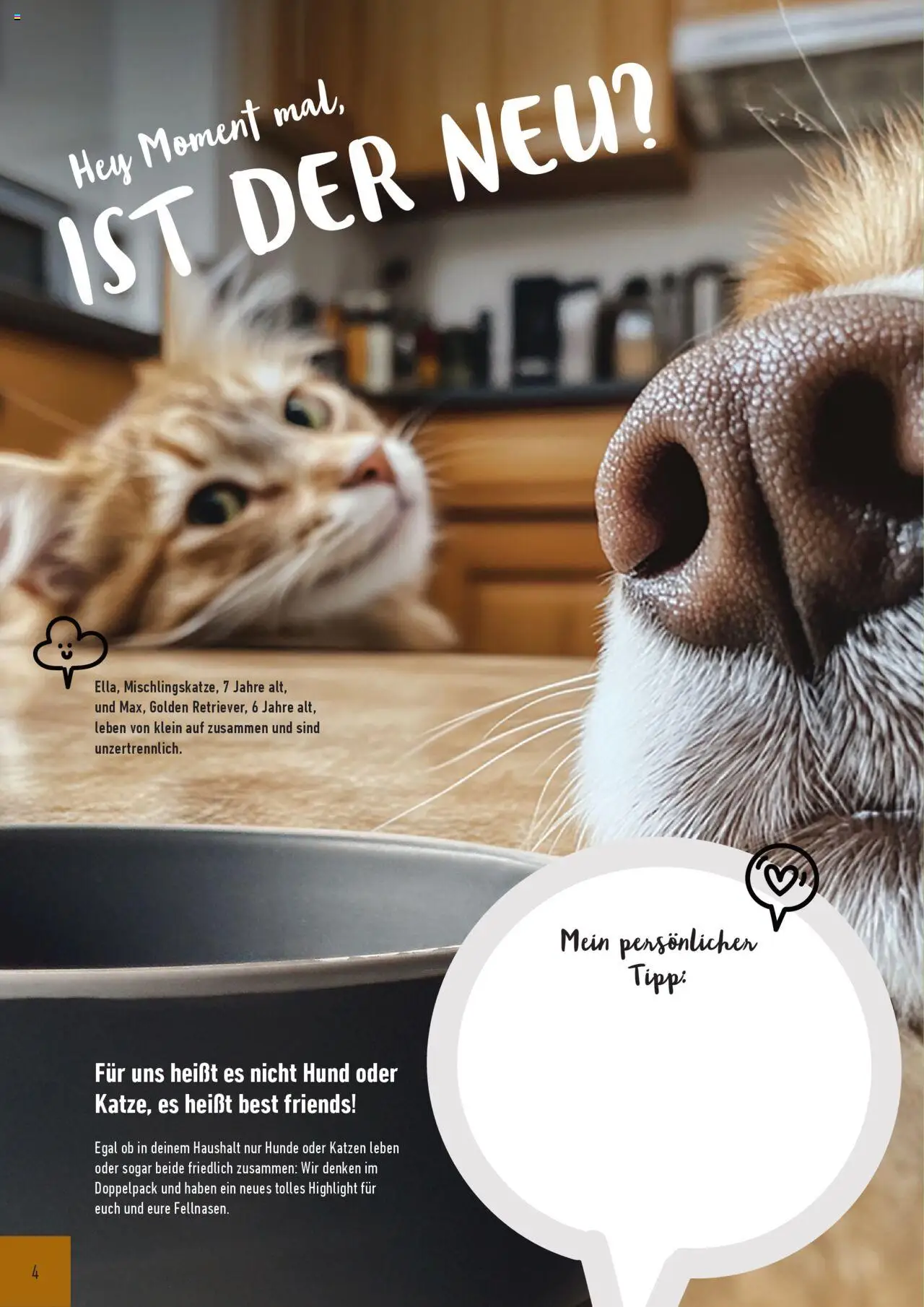 Katalog ProWin Best Friends Juli 2025/Juni 2026 – gültig ab 01.07.2025 | Seite: 4