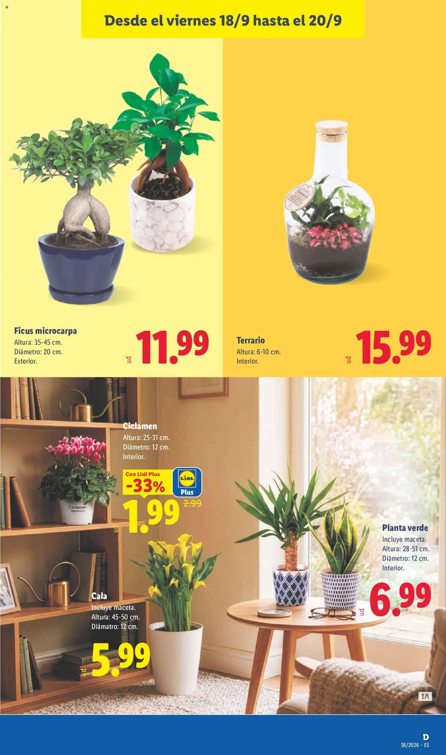 Lidl folleto │ válido desde el 14/09/2026 | Página: 49