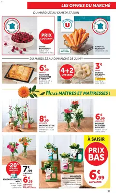 Super U - Prévisualisation de Super U catalogue valide à partir de 23/06/2026 | Page: 37
