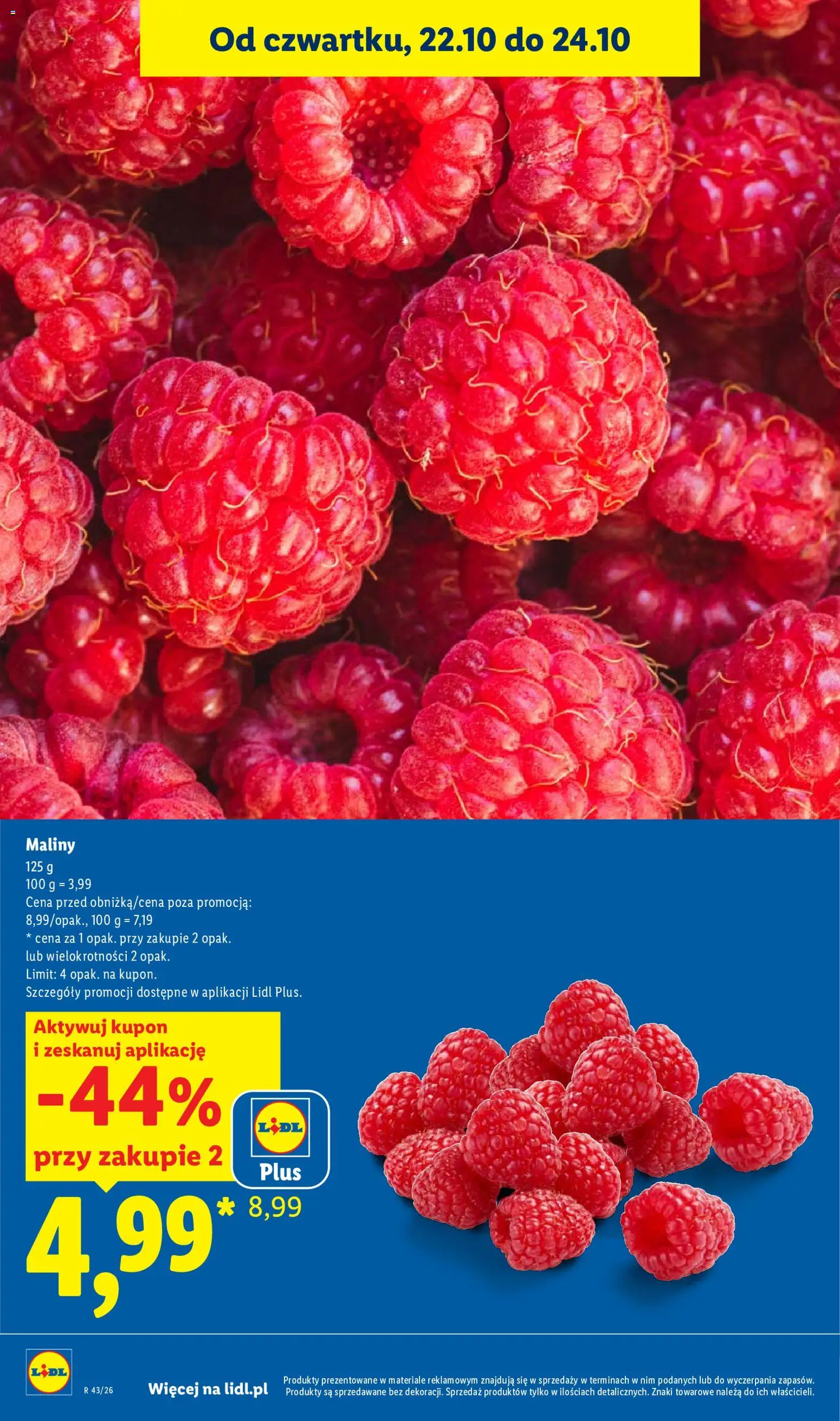 Lidl Polsko katalog od 22.10.2026 | Strana: 10