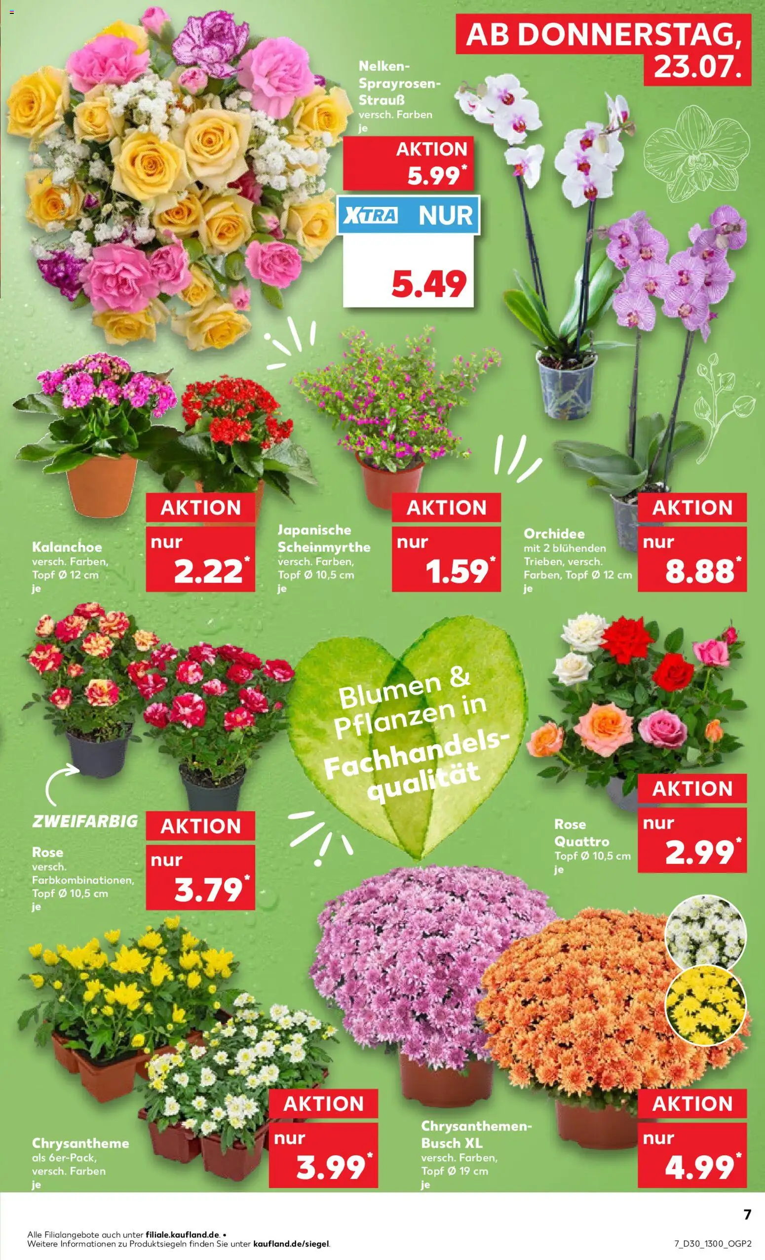 Kaufland Prospekt Köln – gültig ab 23.07.2026 | Seite: 7 | Produkte: Orchidee, Blumen