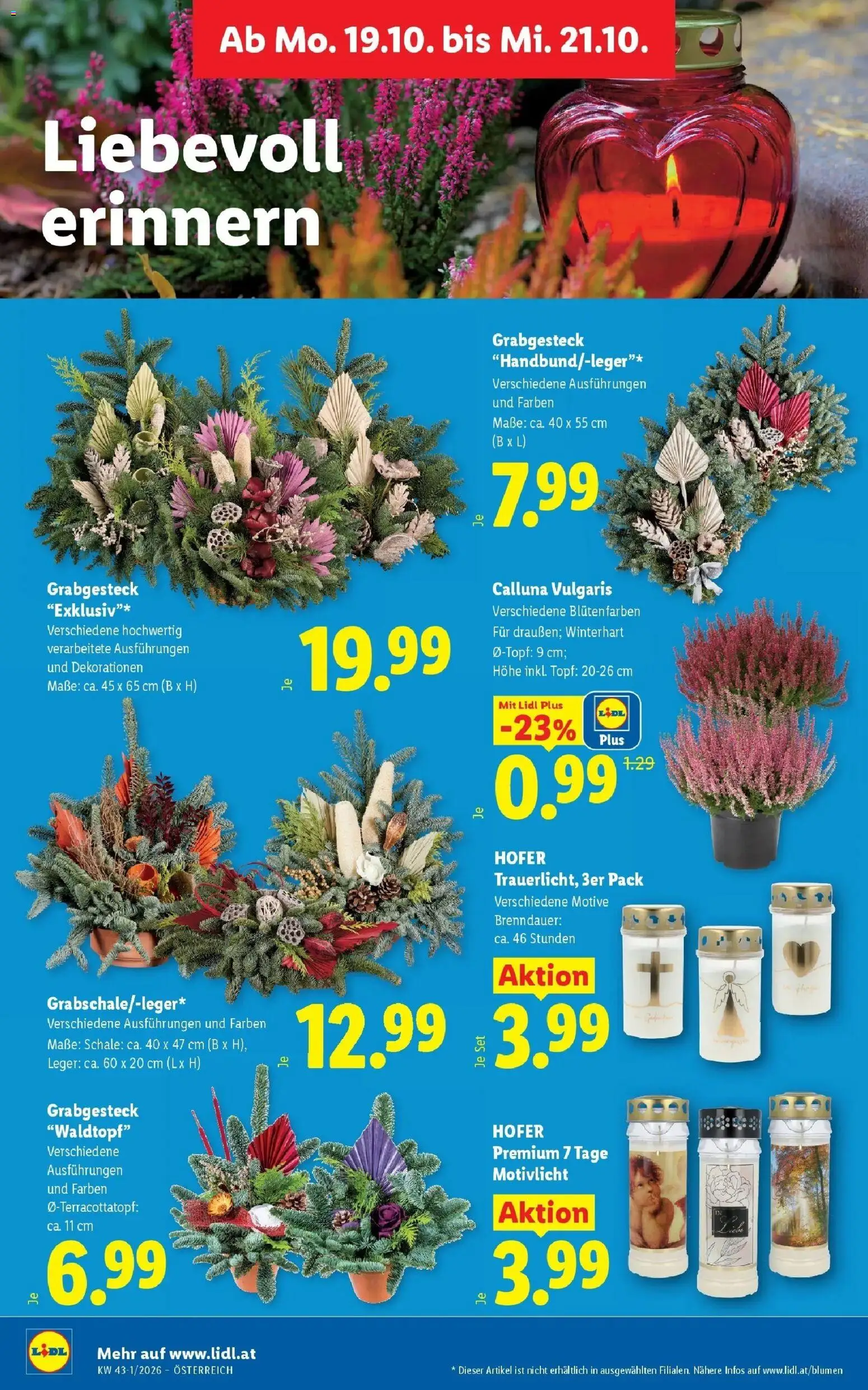 Lidl Flugblatt - Wien ab 11.10.2026 - Angebote ab donnerstag | Seite: 33