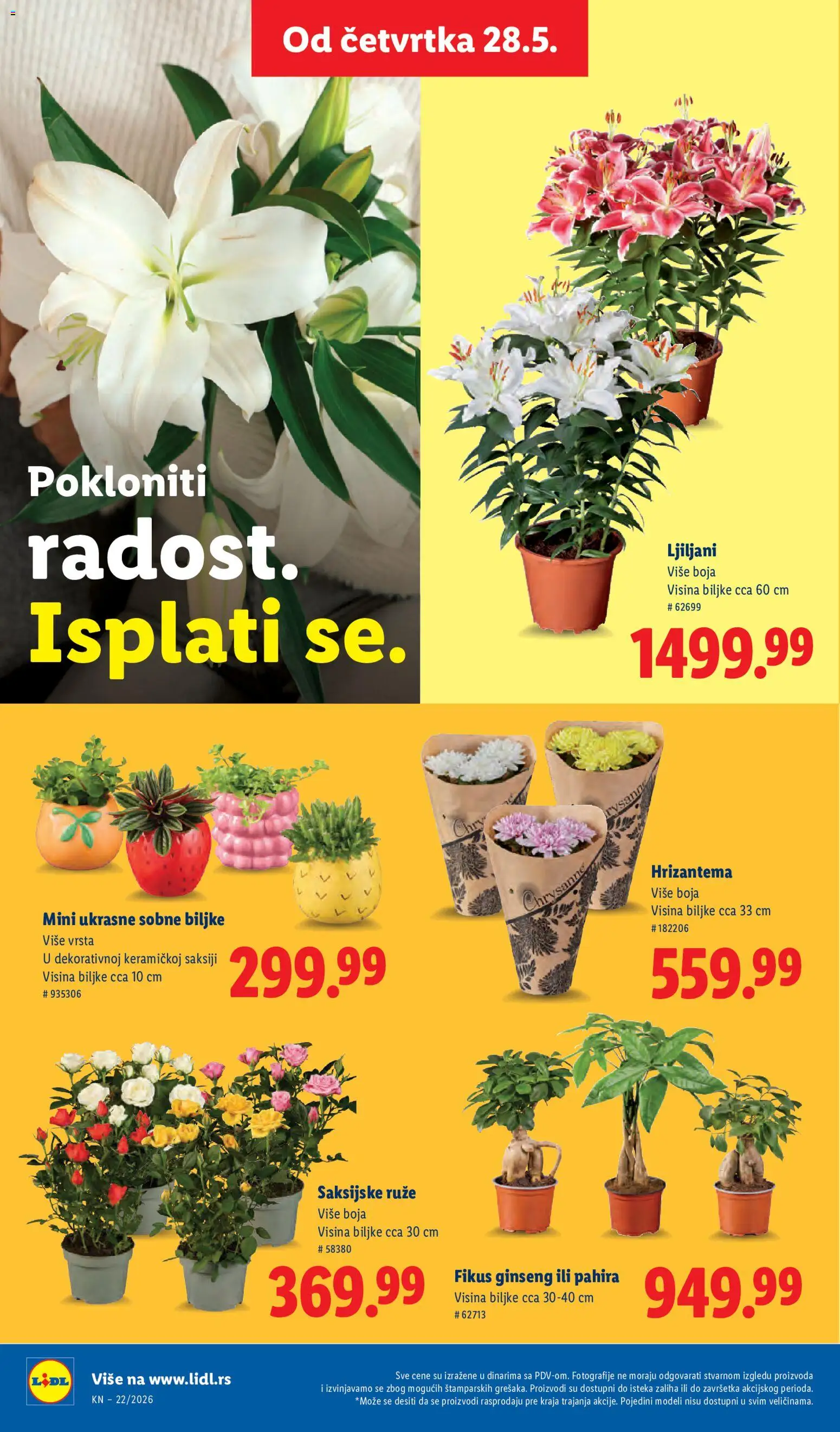 Lidl katalog - važi od 28.05.2026 | Strana: 72