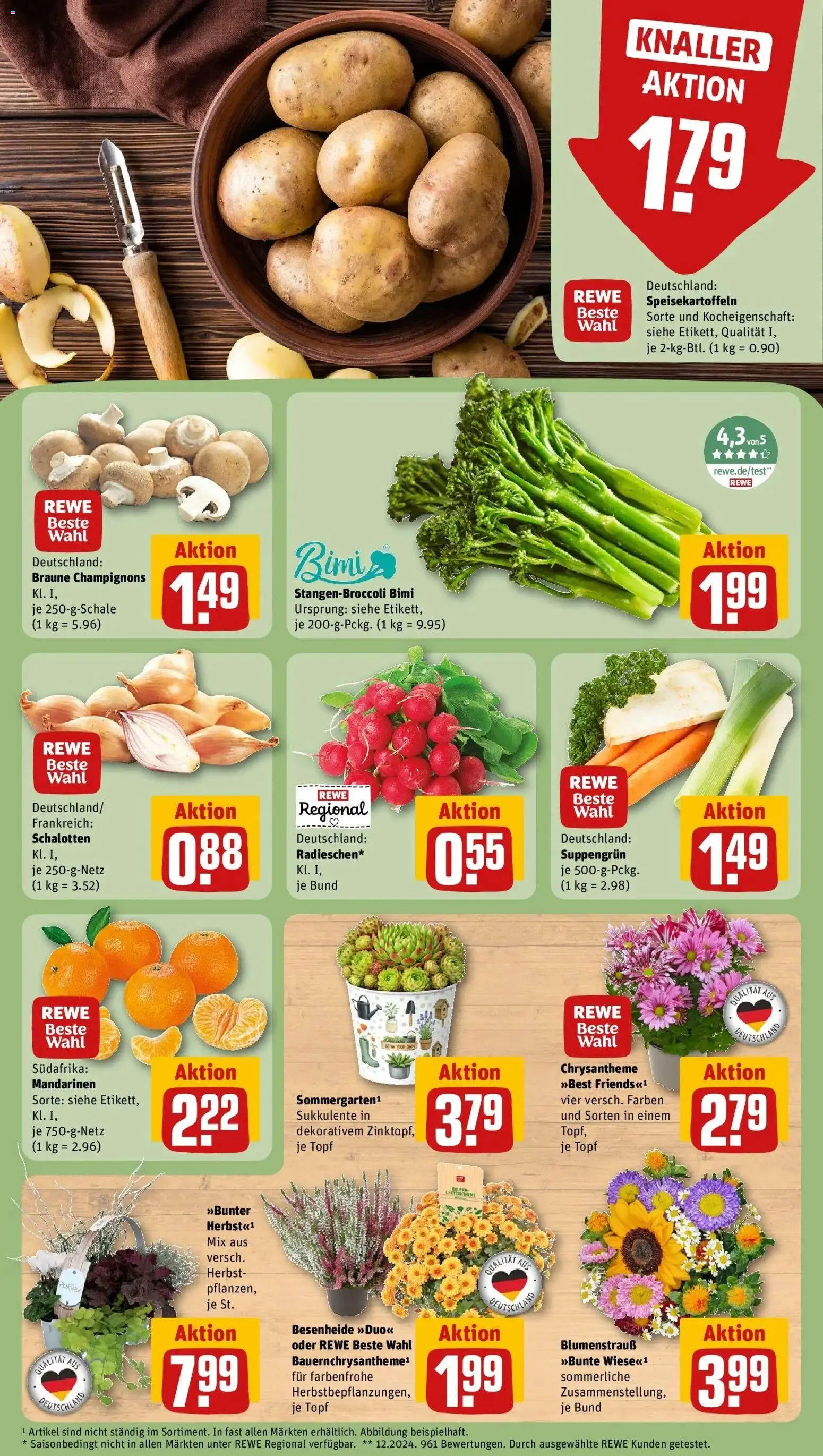 REWE Prospekt ab 07.09.2026 zum Blättern » Angebote | Seite: 7 | Produkte: Mandarinen, Champignons