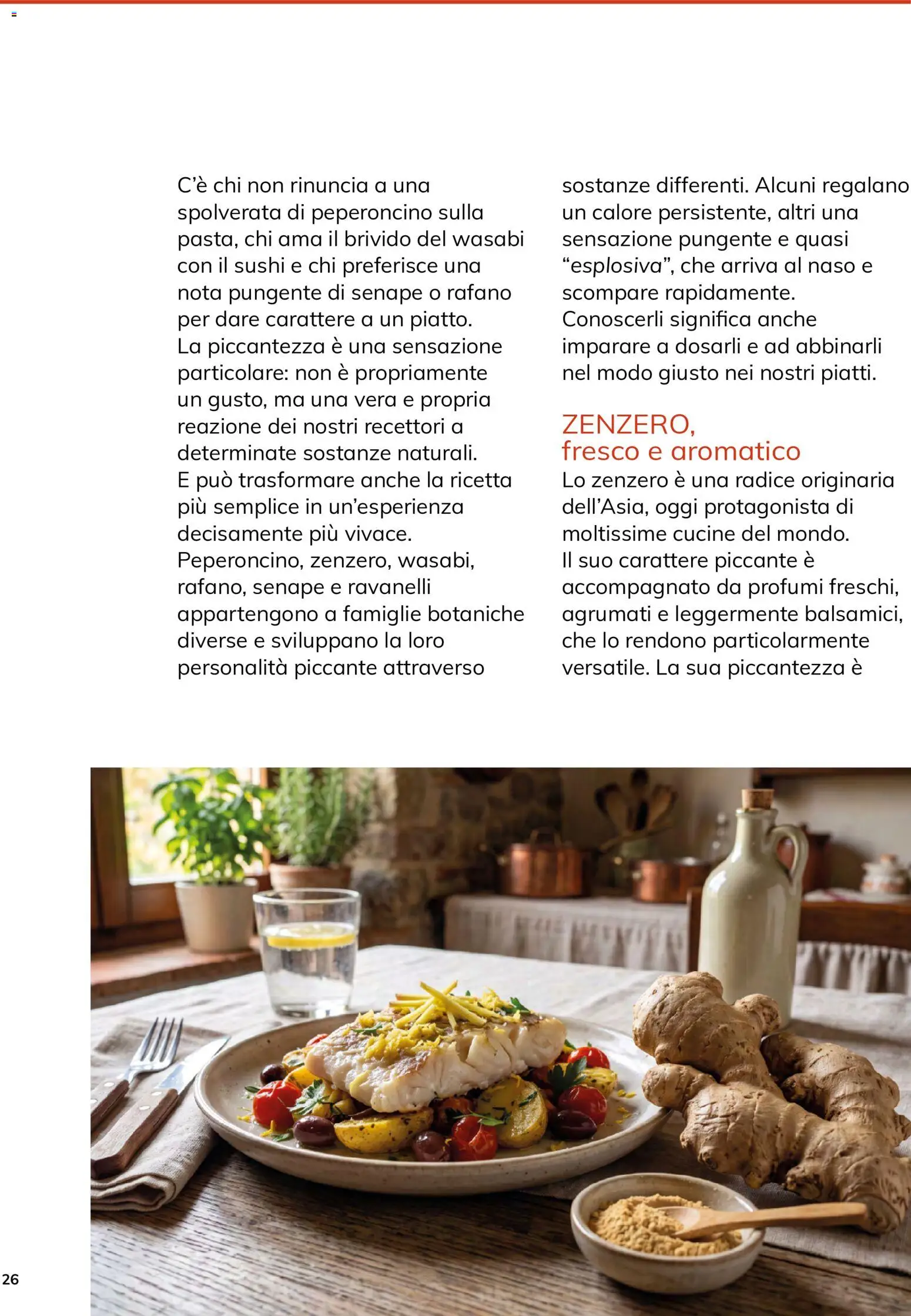 Volantino Basko del 12/10/2026 | Pagina: 26 | Prodotti: Cucine, Rafano, Profumi, Zenzero