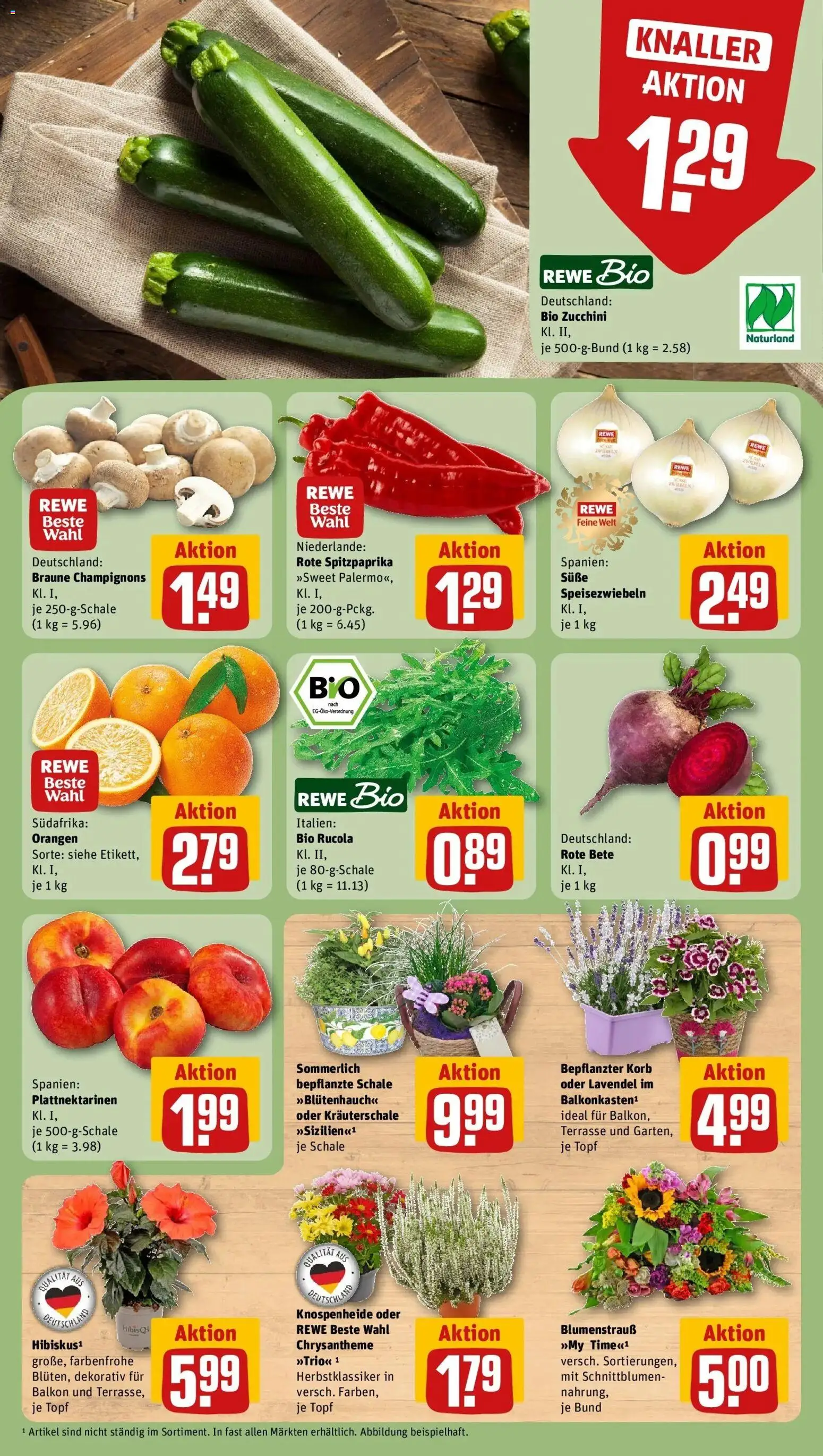 REWE Prospekt ab 17.08.2026 zum Blättern » Angebote | Seite: 9 | Produkte: Korb, Champignons, Zwiebeln, Zucchini