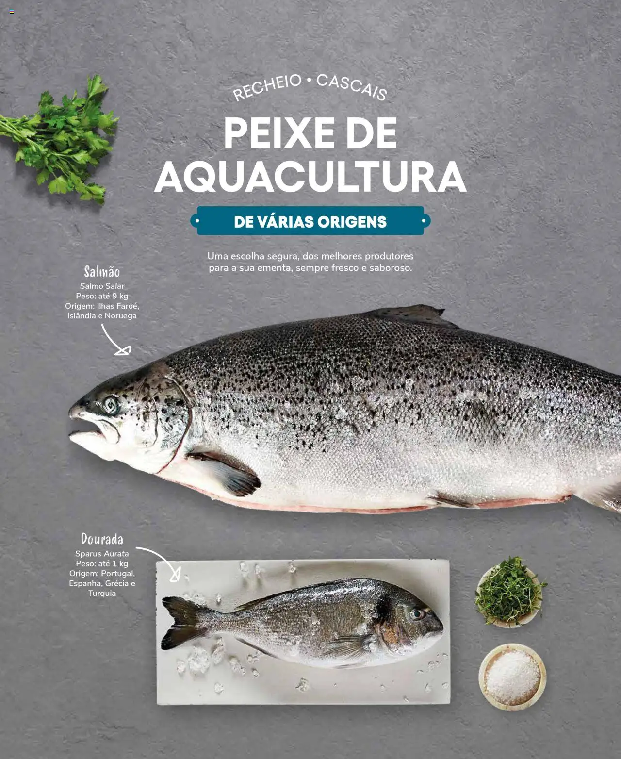 Recheio Peixaria │ válido de 19/09/2024 | Página: 10 | Produtos: Dourada, Salmão, Peixe