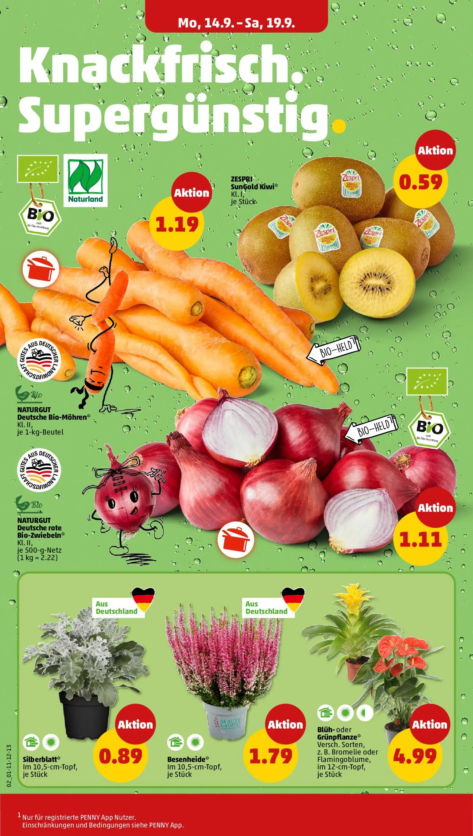 Penny Prospekt – gültig ab 14.09.2026 | Seite: 2 | Produkte: Kiwi