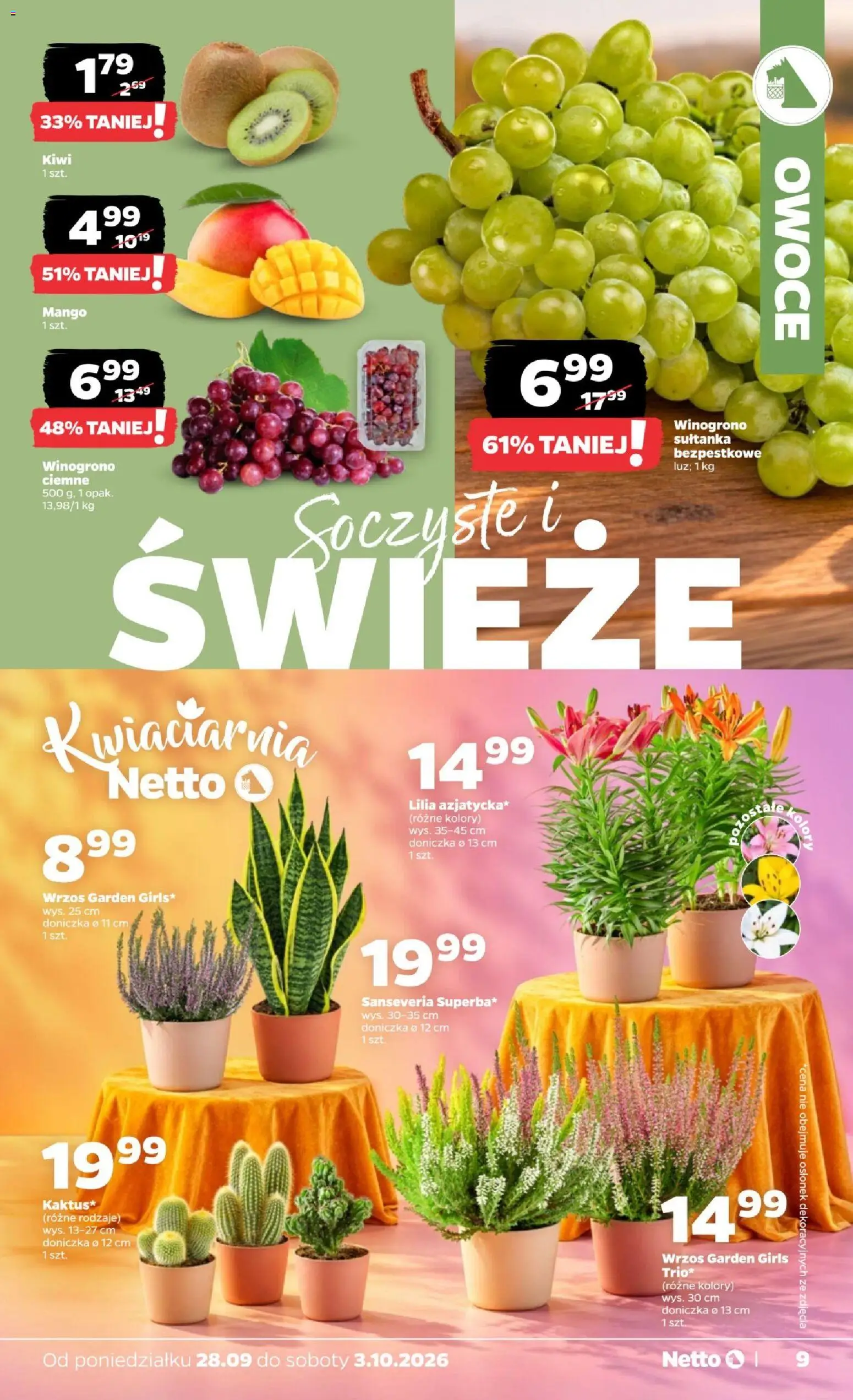 Netto gazetka od poniedziałku od 28.09.2026 | Strona: 9