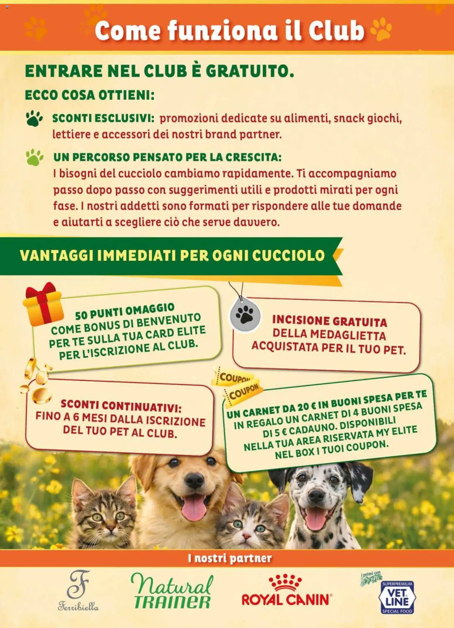 Volantino Elite Supermercati del 24/06/2026 | Pagina: 7 | Prodotti: Tè