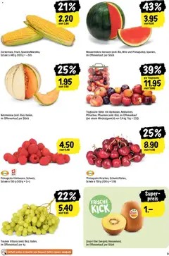 Wassermelone kernarm (exkl. Bio, Mini und Primagusto), Spanien,, im Offenverkauf, per Stück ab 18.06.2026 gültig | Seite: 3