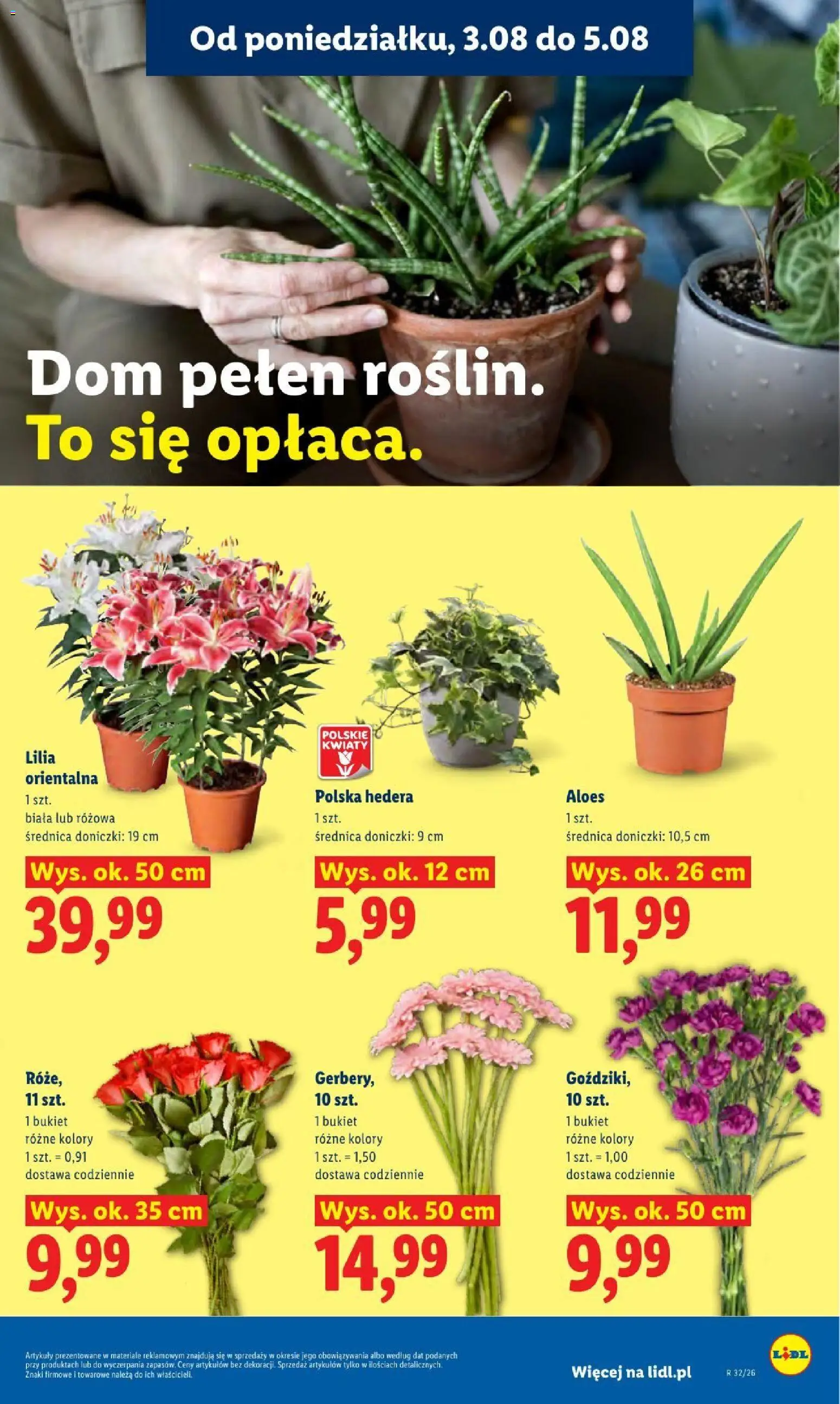 Lidl gazetka od 03.08.2026 | Strona: 91