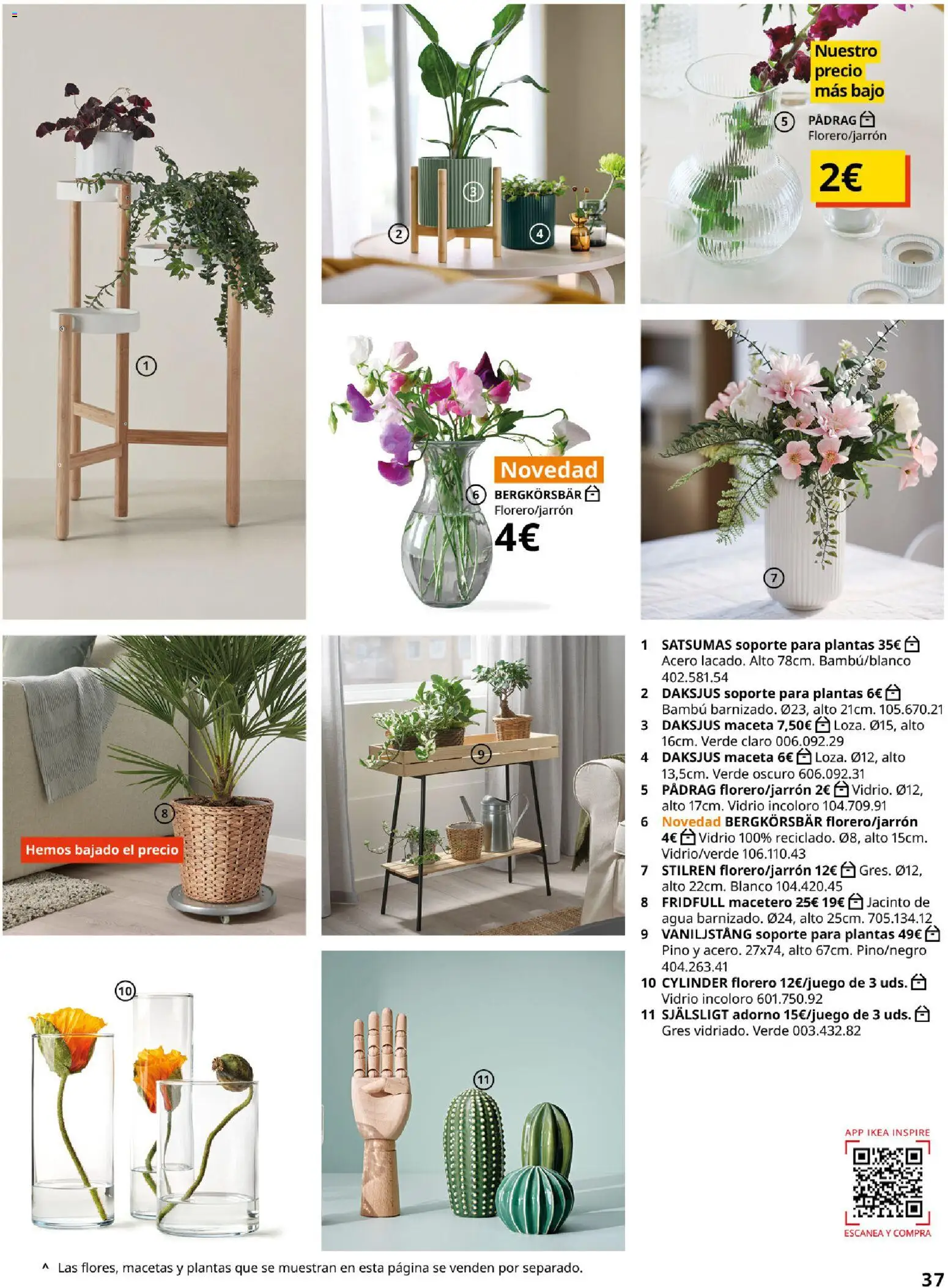 Catálogo IKEA Accesorios y decoración │ válido desde el 01/02/2026 | Página: 37 | Productos: Florero, Macetero, Agua, Maceta