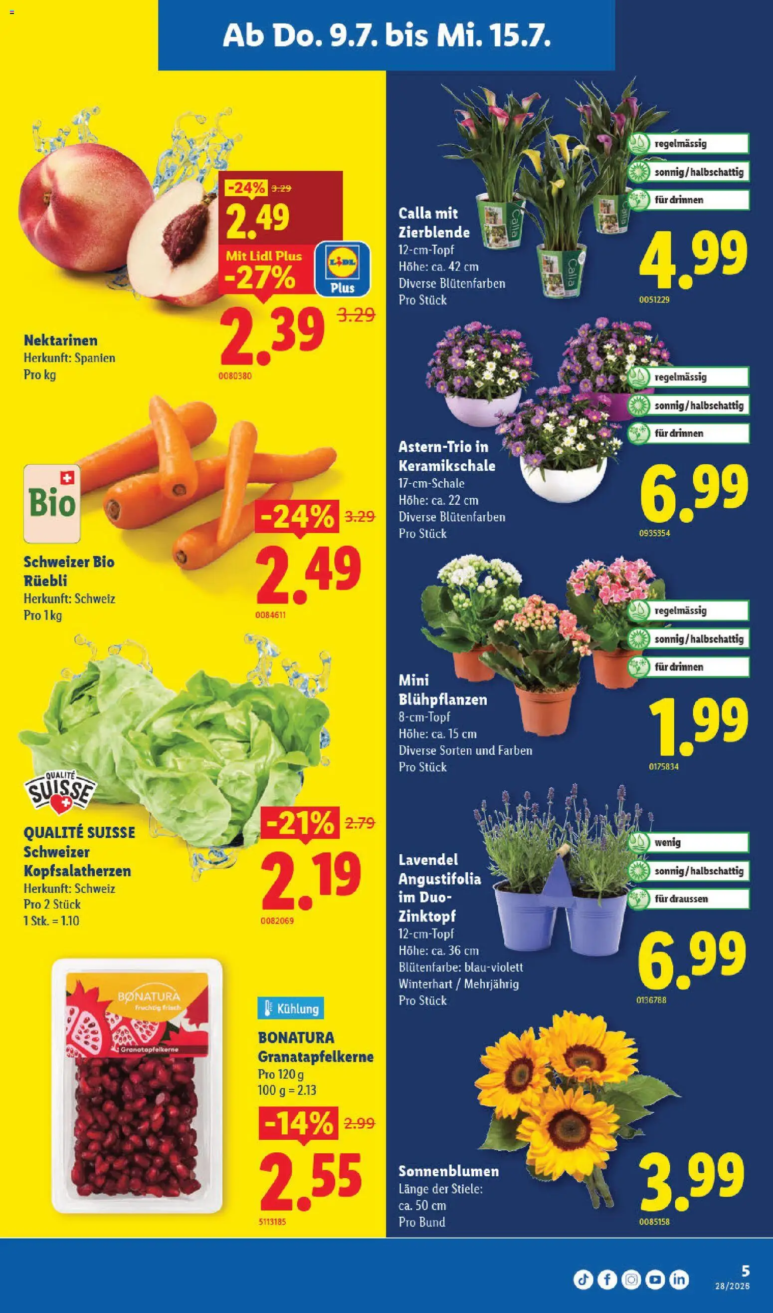 Lidl aktionen – gültig ab 09.07.2026 | Seite: 5 | Produkte: Nektarinen
