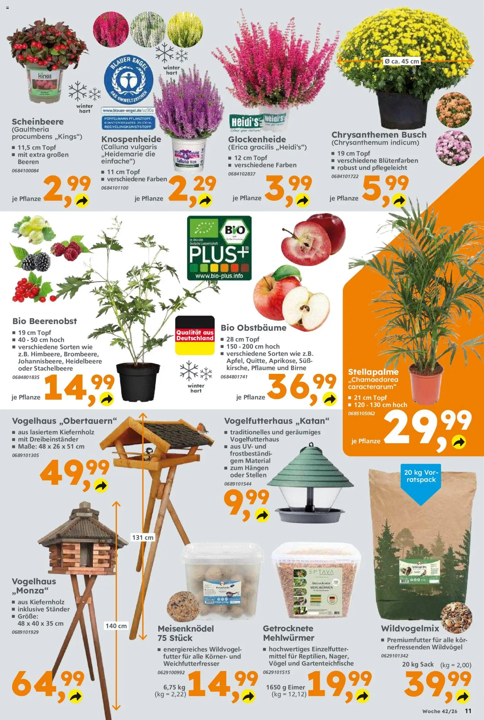Globus Baumarkt Prospekt – gültig ab 12.10.2026 | Seite: 11