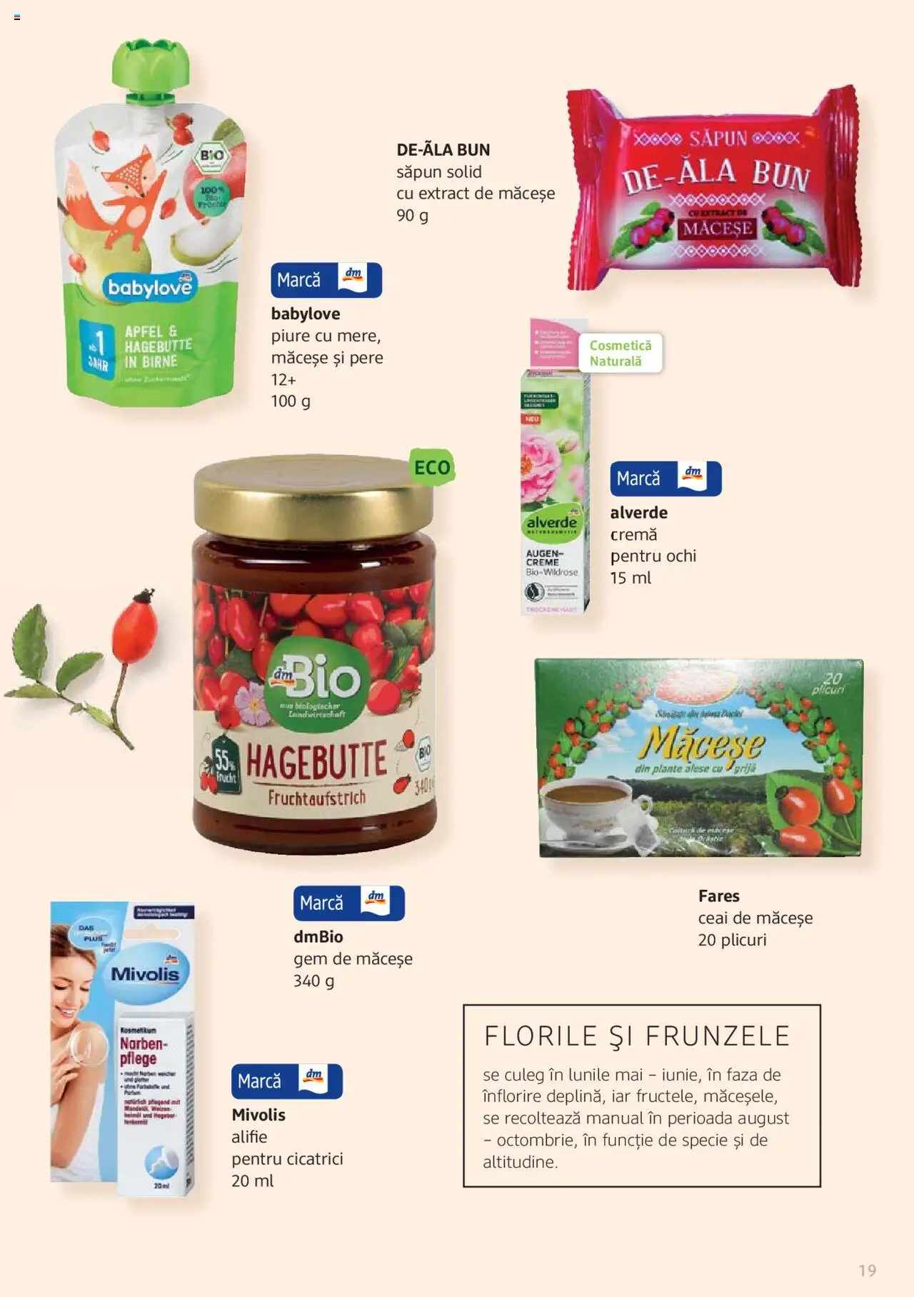 Noul catalog DM drogeriemarkt – valabil de la 01.01.2022 | Pagină: 19
