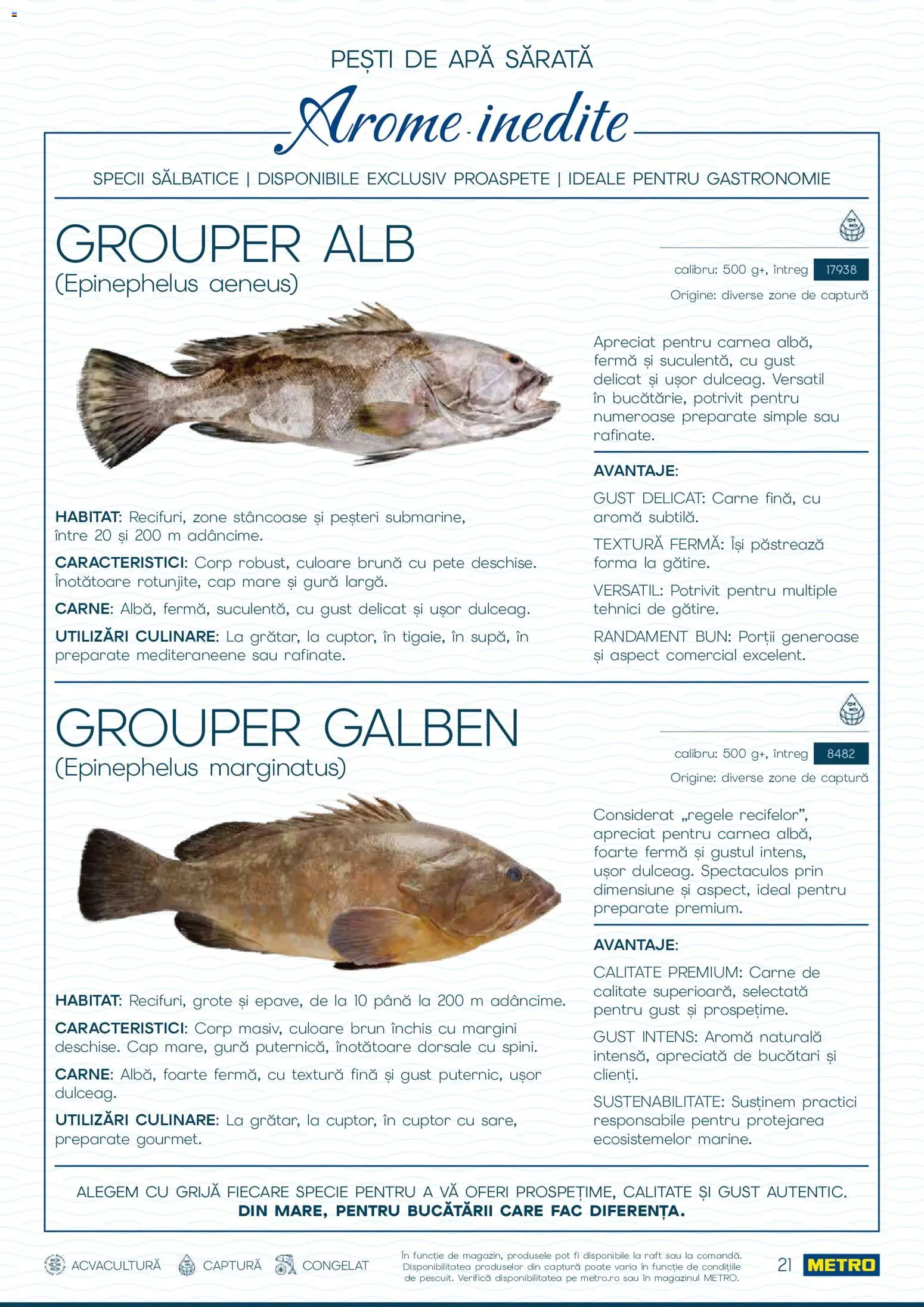 Noul catalog Metro – valabil de la 01.10.2026 | Pagină: 21 | Produse: Premium, Cuptor, Raft, Apă