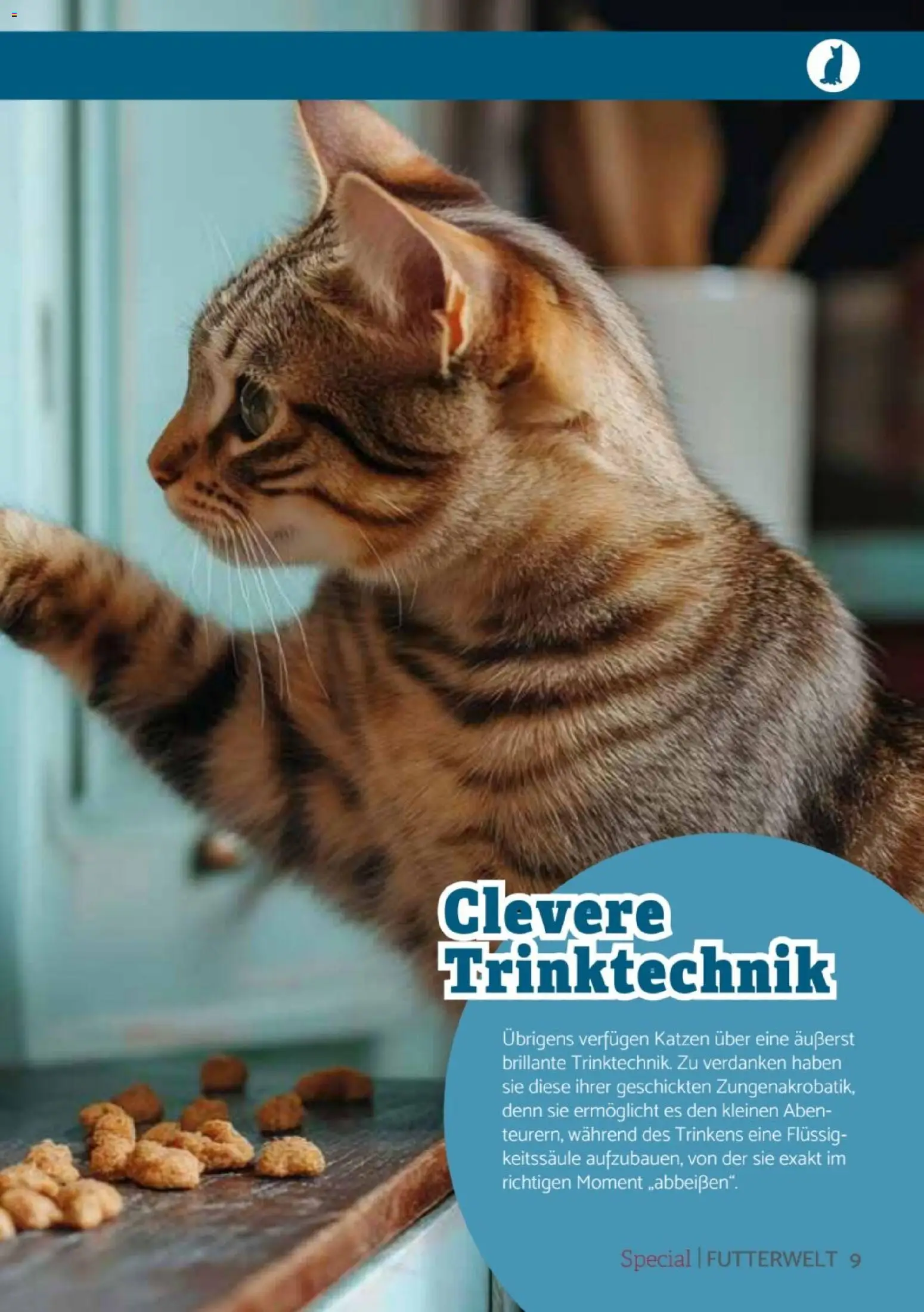 zookauf Heimtier Journal Special – gültig ab 01.06.2026 | Seite: 9
