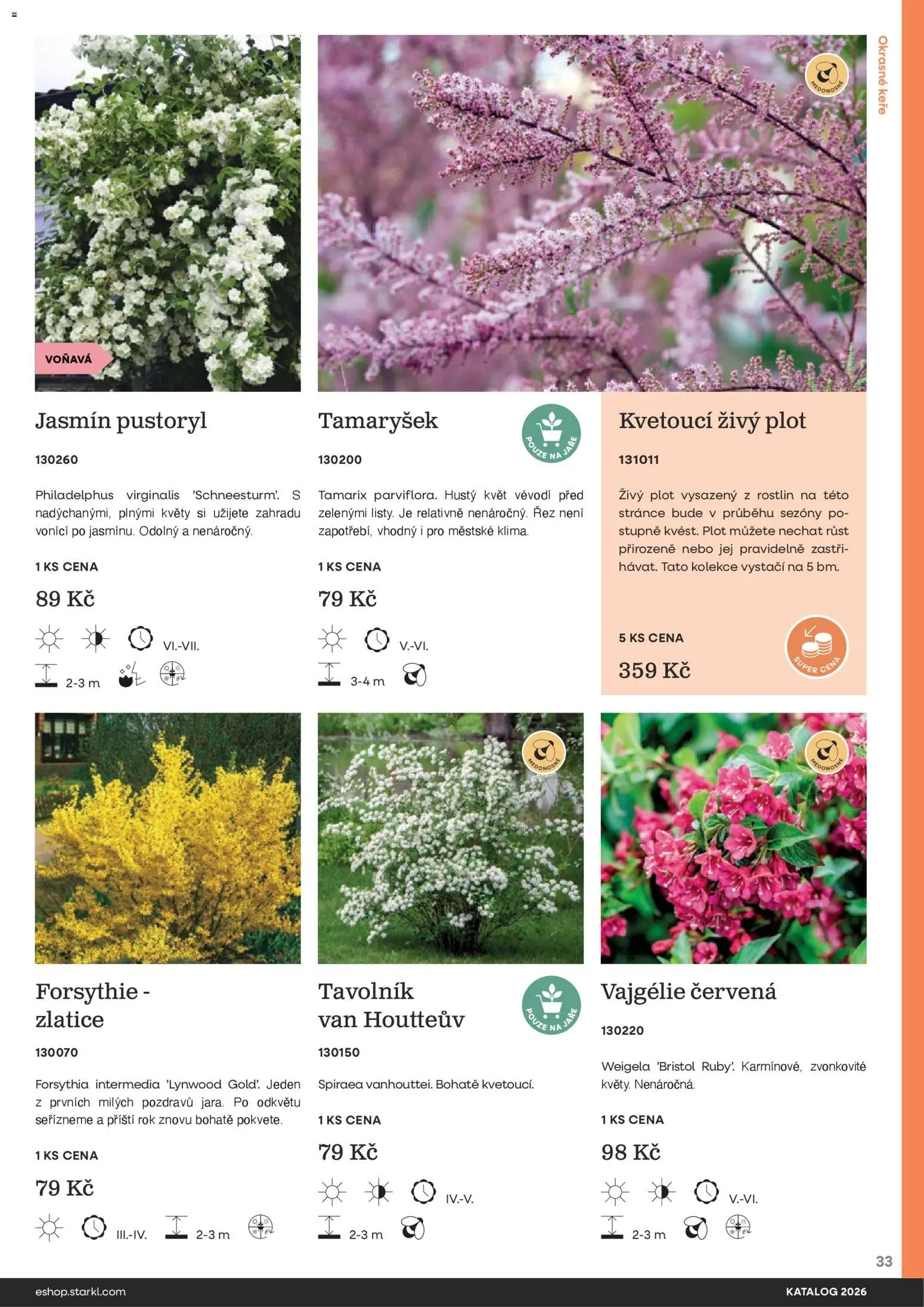 Starkl katalog od 25.02.2026 | Strana: 33