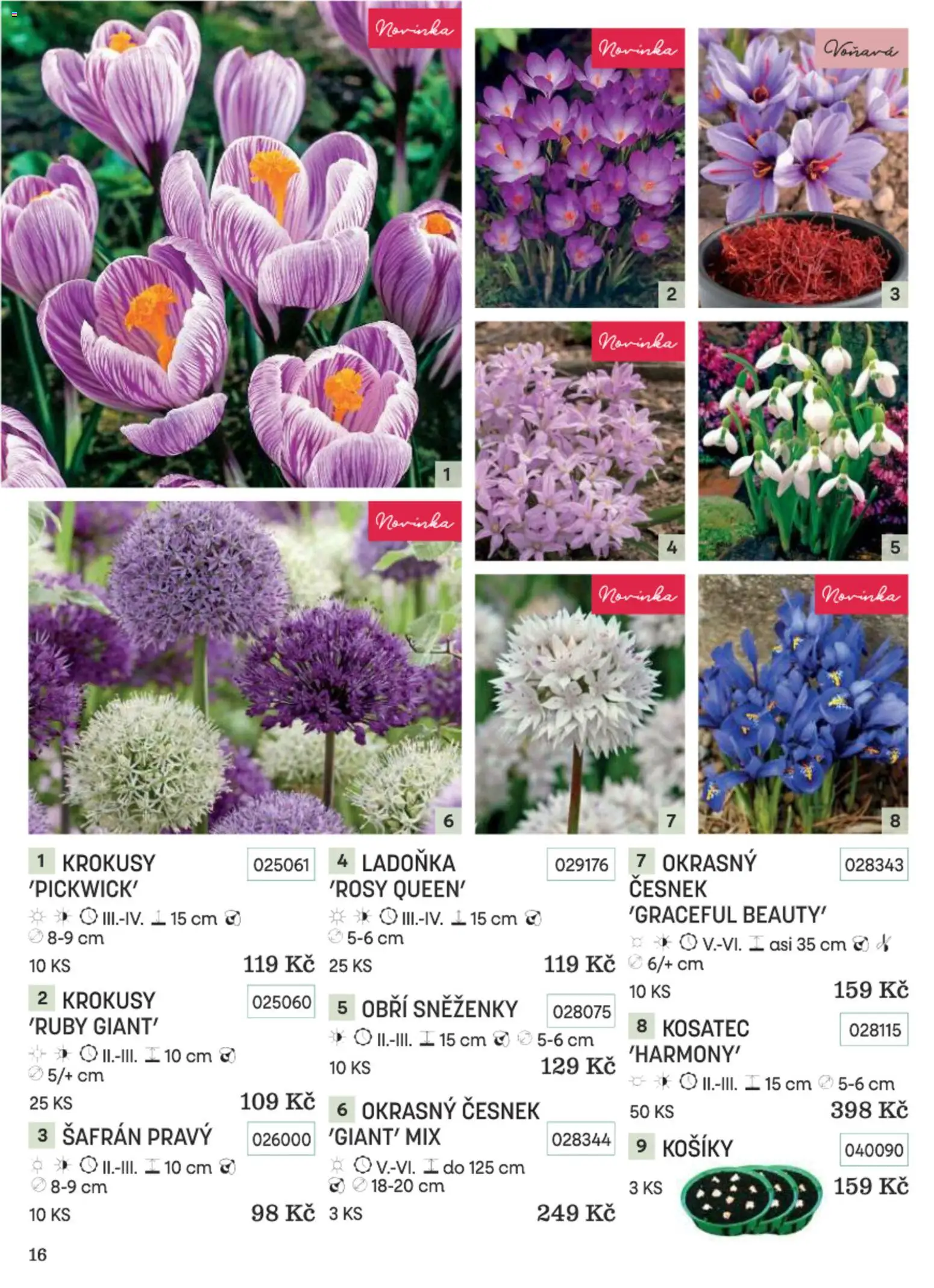 Starkl katalog Podzim 2026 od 01.09.2026 | Strana: 16 | Produkty: Česnek, Šafrán