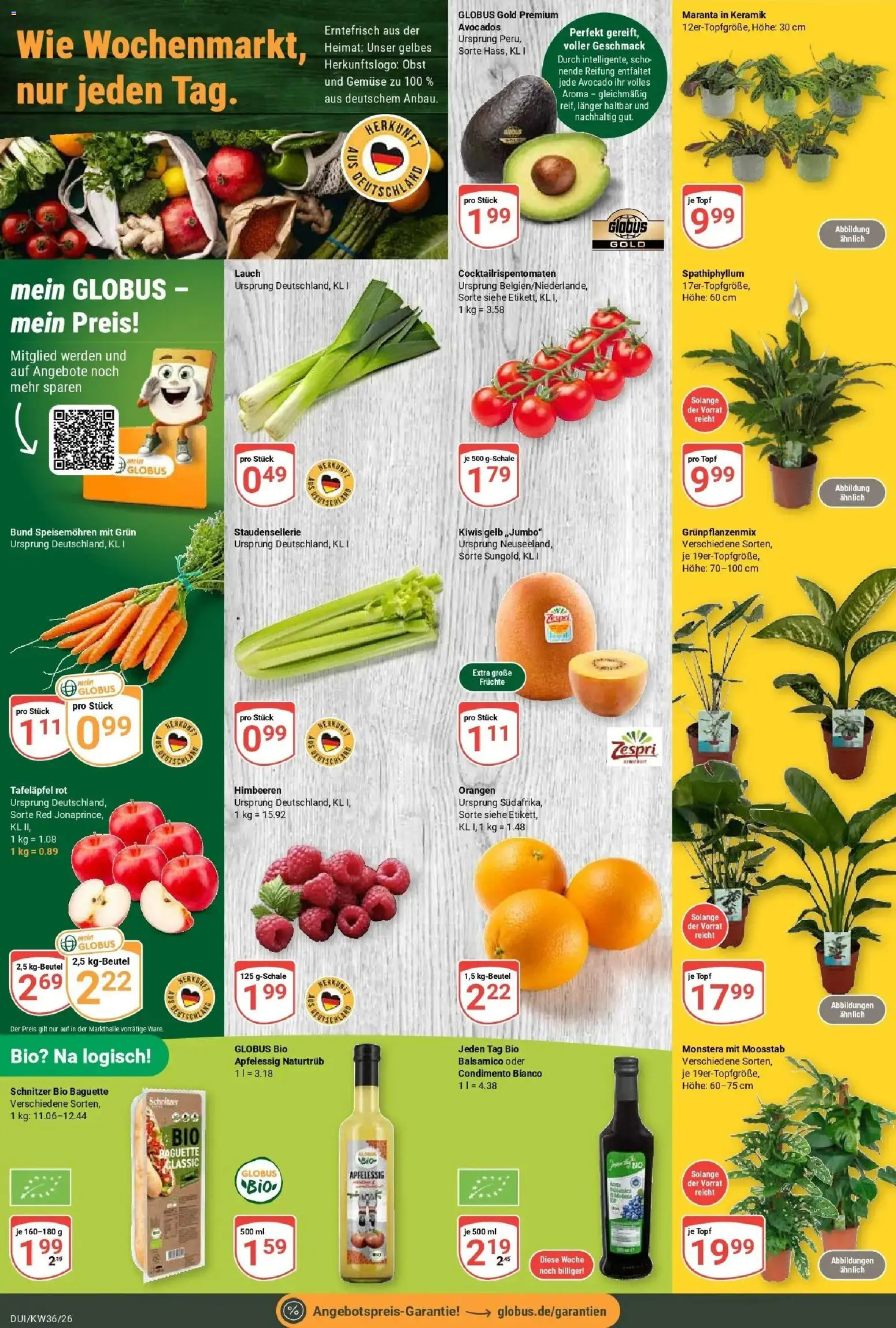 Globus Prospekt Duisburg – gültig ab 31.08.2026 | Seite: 7 | Produkte: Himbeeren, Baguette, Orangen, Avocado