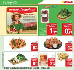 Anteprima del volantino CAROTE, confezione 1 kg - cat. I valido a partire dal 23/09/2026 | Pagina: 14 | Prodotti: Peperoni, Cipolle, Carote, Uva