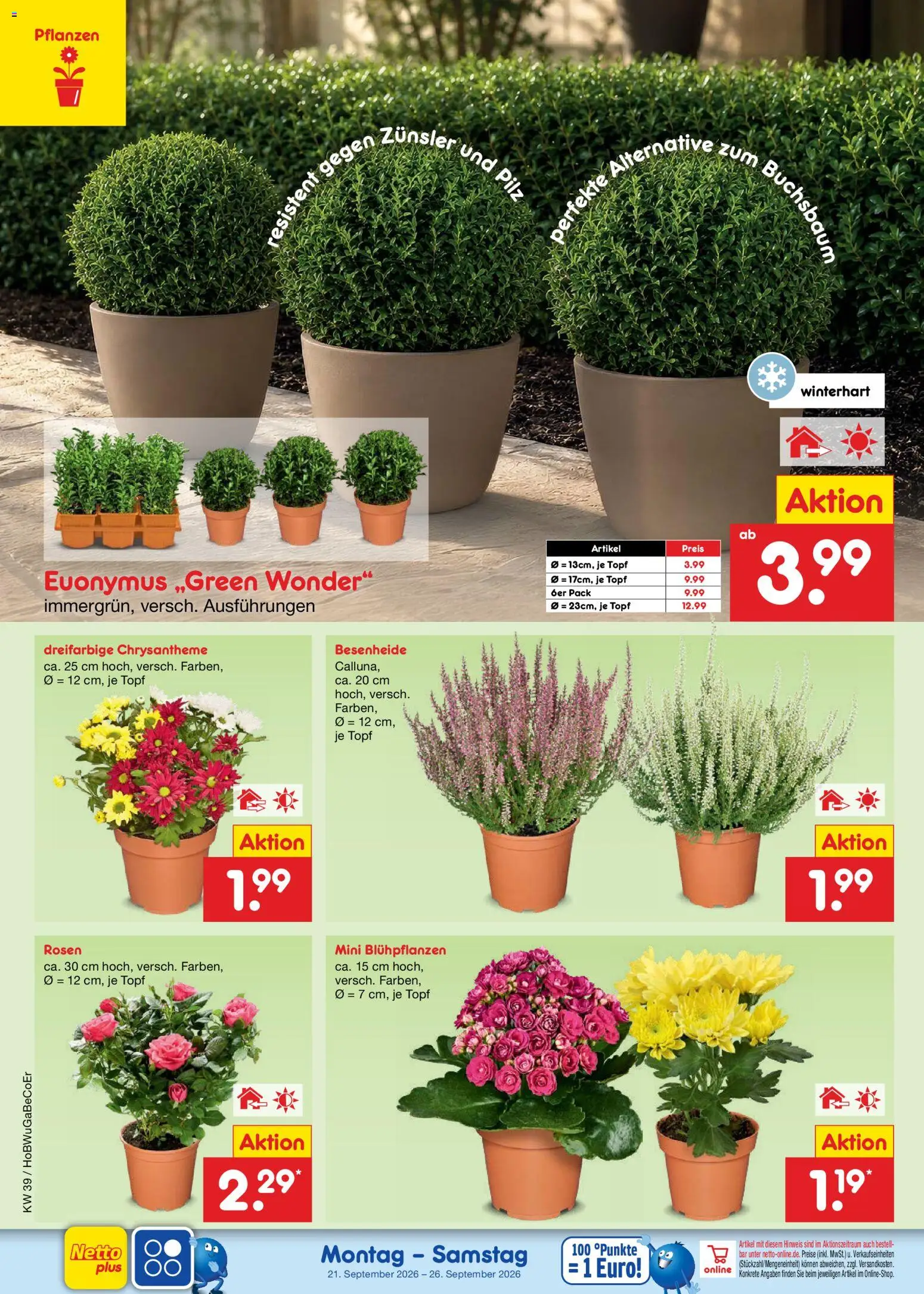 Netto Marken-Discount Prospekt – gültig ab 21.09.2026 | Seite: 4