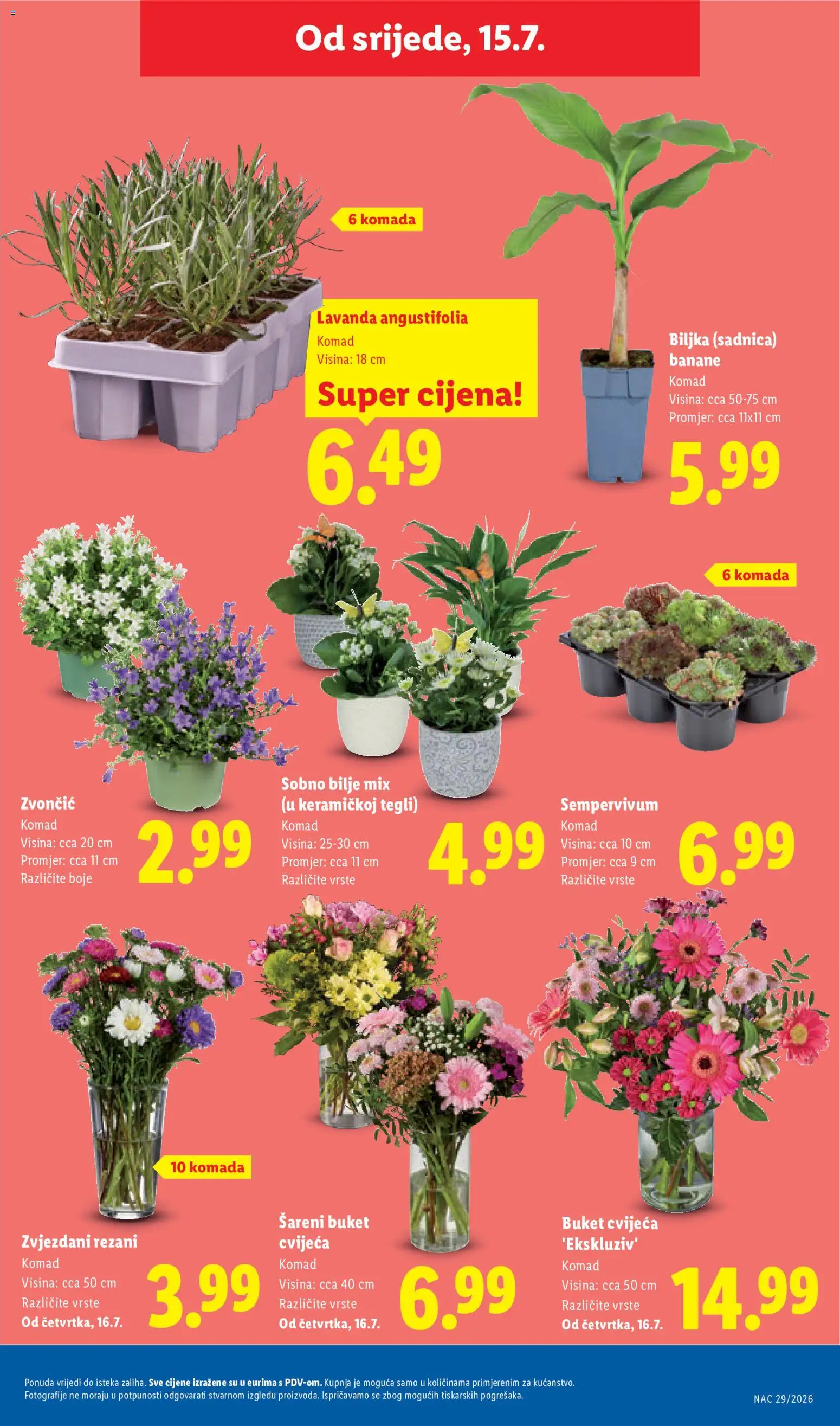 Lidl katalog | vrijedi od 13.07.2026 | Stranica: 51 | Proizvodi: Banane