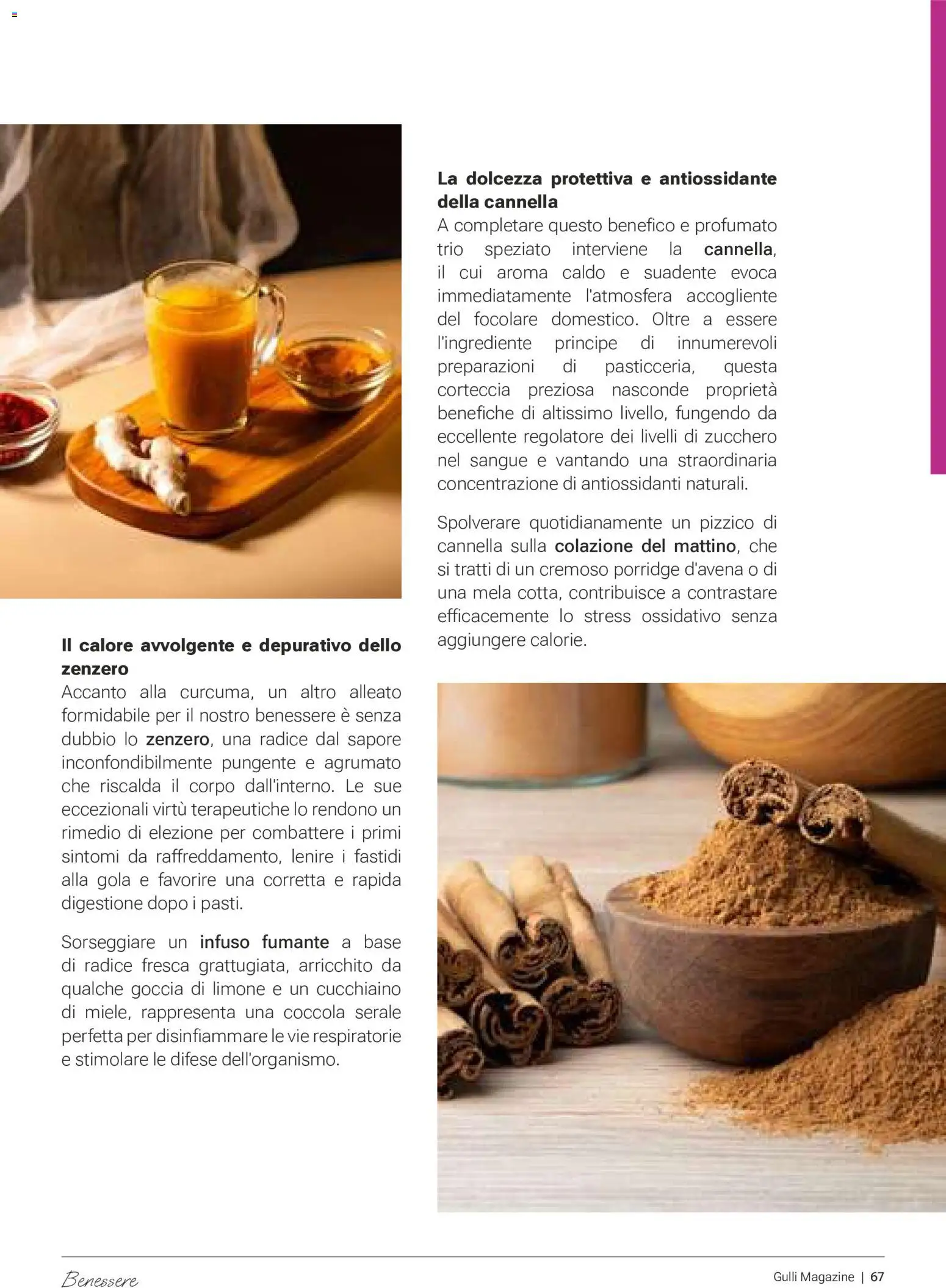 Volantino Gulliver del 01/10/2026 | Pagina: 67 | Prodotti: Zucchero, Limone, Dolcezza, Porridge