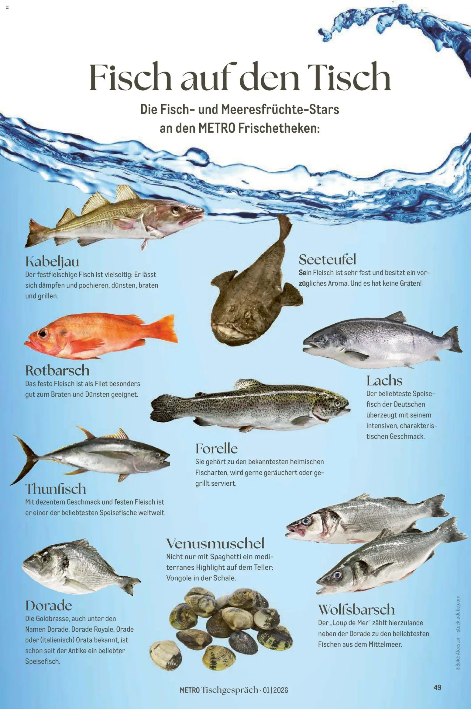 Metro Tischgespräch – gültig ab 01.02.2026 | Seite: 49 | Produkte: Thunfisch, Tisch, Lachs, Fleisch