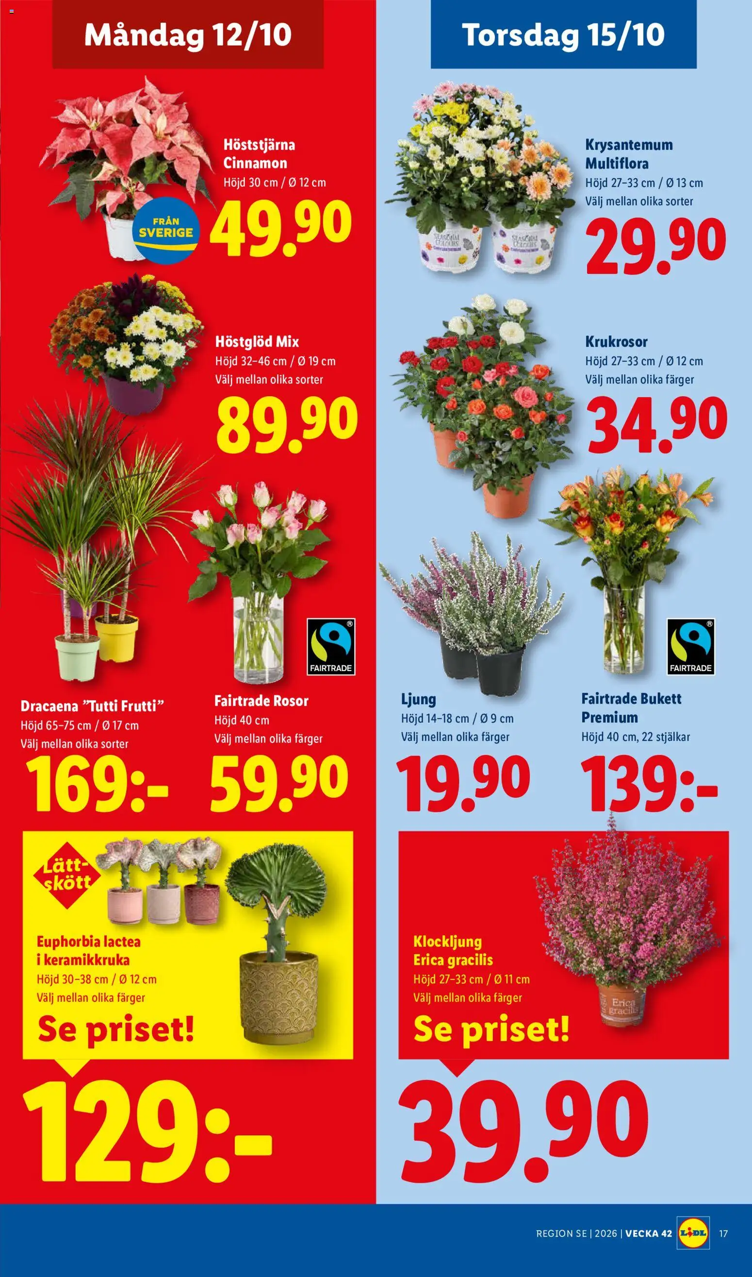 Lidl reklamblad aktuell från 12/10/2026 | Sida: 22