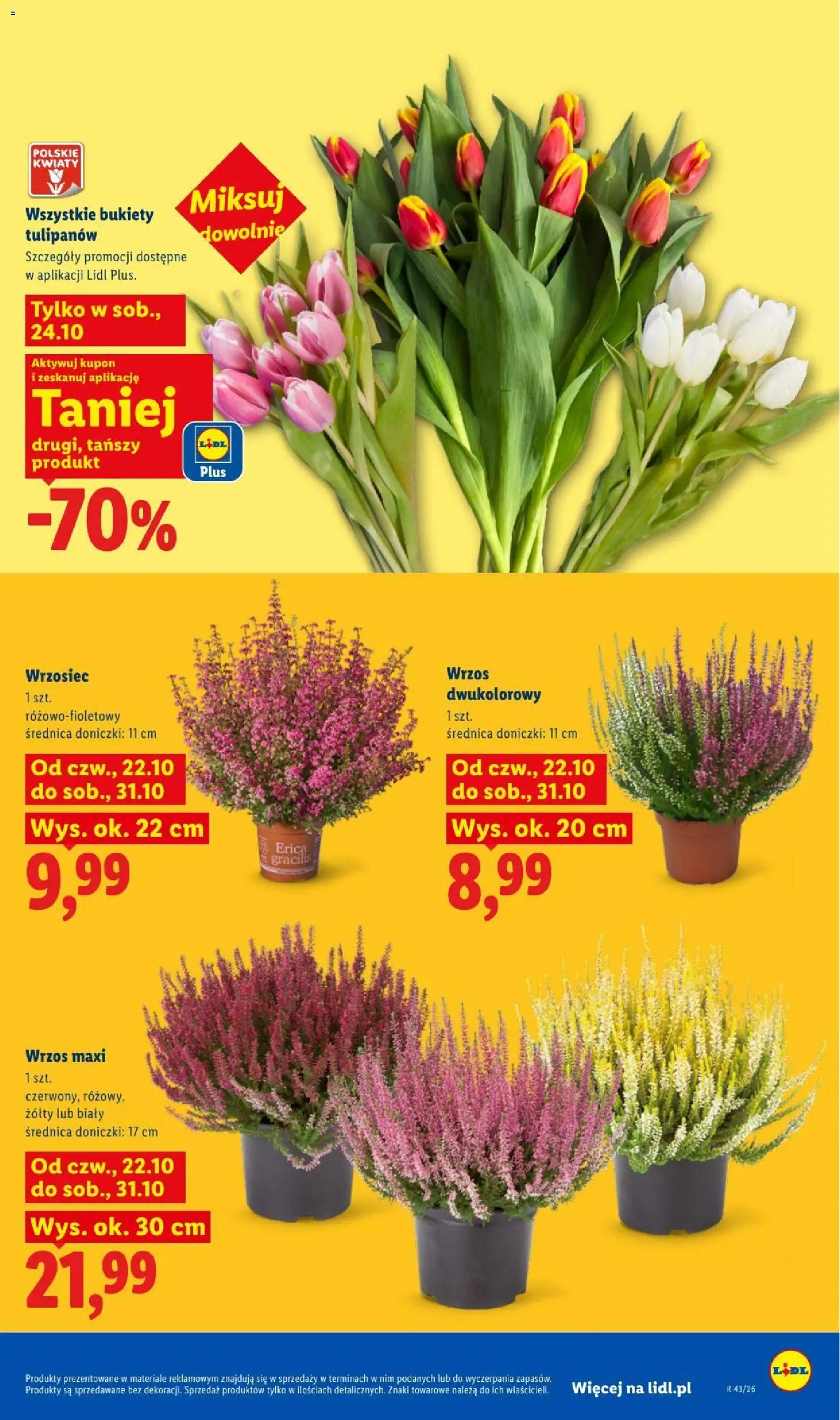Lidl gazetka od 22.10.2026 | Strona: 103 | Produkty: Wrzos, Doniczki, Kwiaty