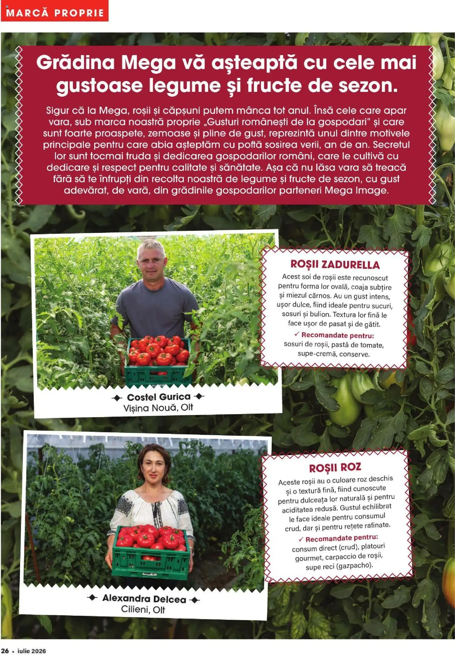 Noul catalog Mega Image – valabil de la 02.07.2026 | Pagină: 26