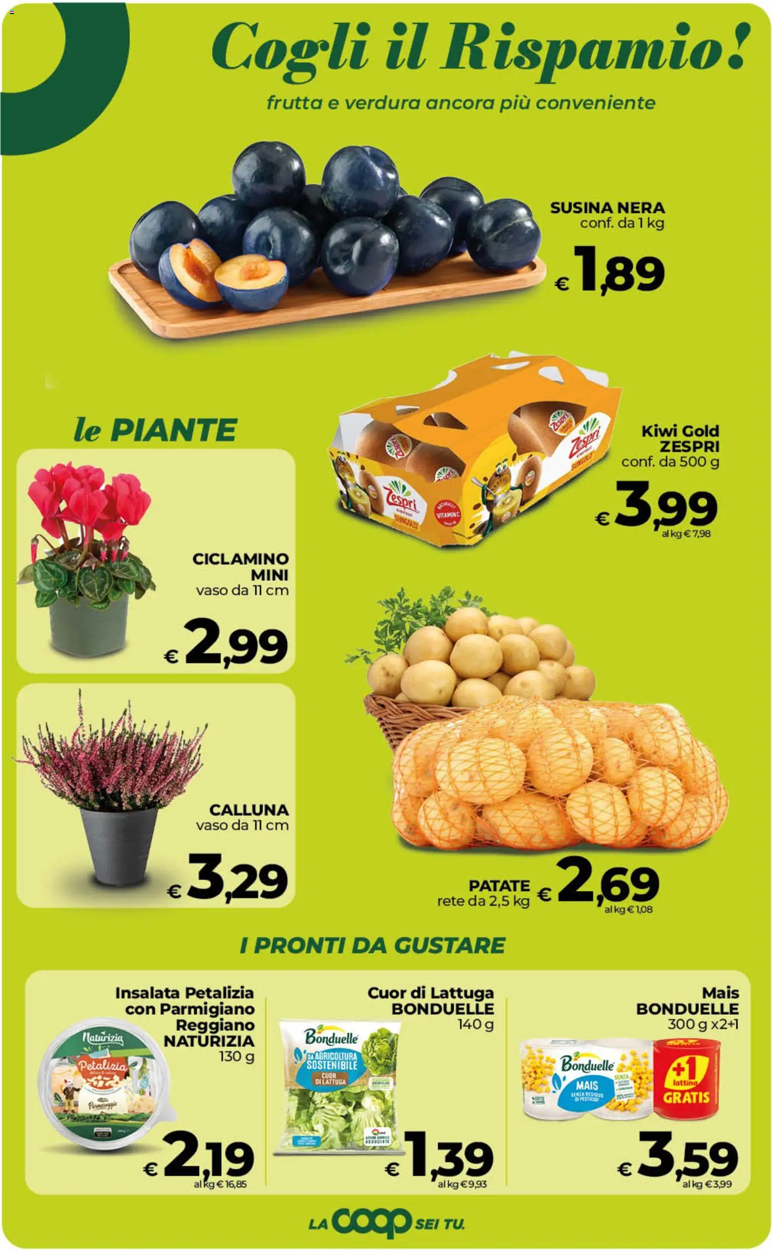 Volantino COOP del 02/10/2026 | Pagina: 15 | Prodotti: Insalata, Frutta, Parmigiano, Lattuga