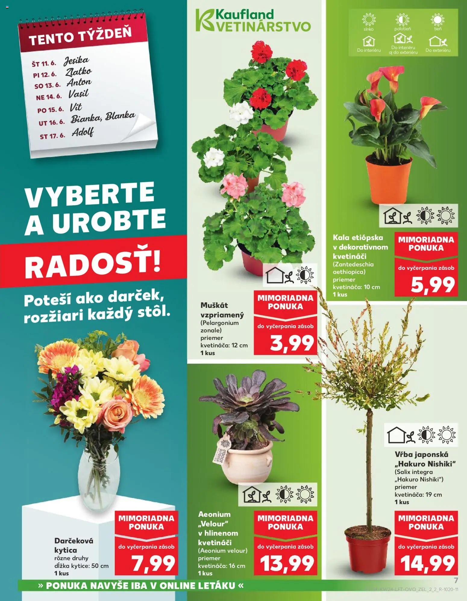 Nové Kaufland akcie – leták je platný od 11.06.2026 | Strana: 7
