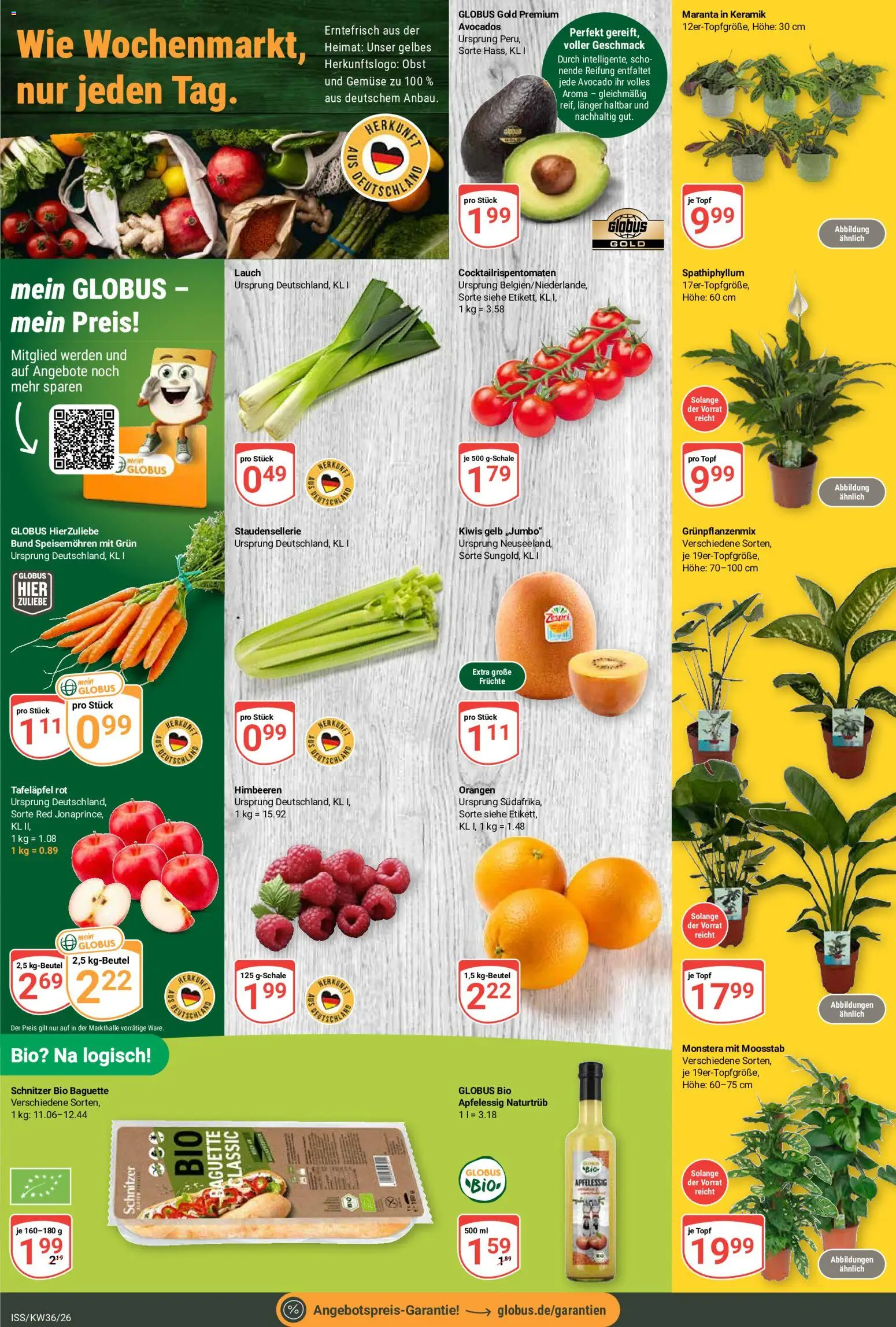 Globus Prospekt – gültig ab 31.08.2026 | Seite: 8 | Produkte: Baguette, Orangen, Gemüse, Lauch