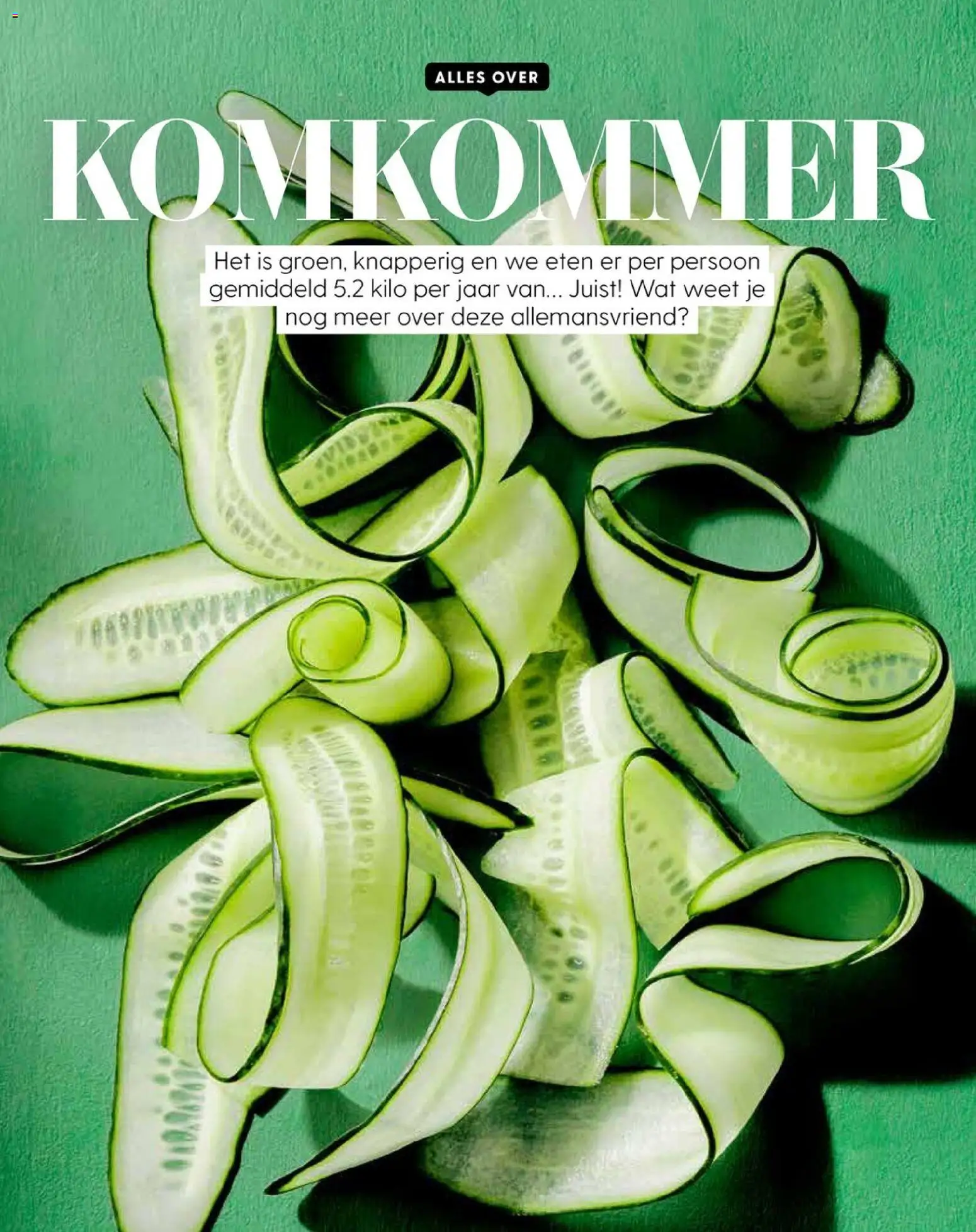 {H1} | Pagina: 50 | Producten: Komkommer